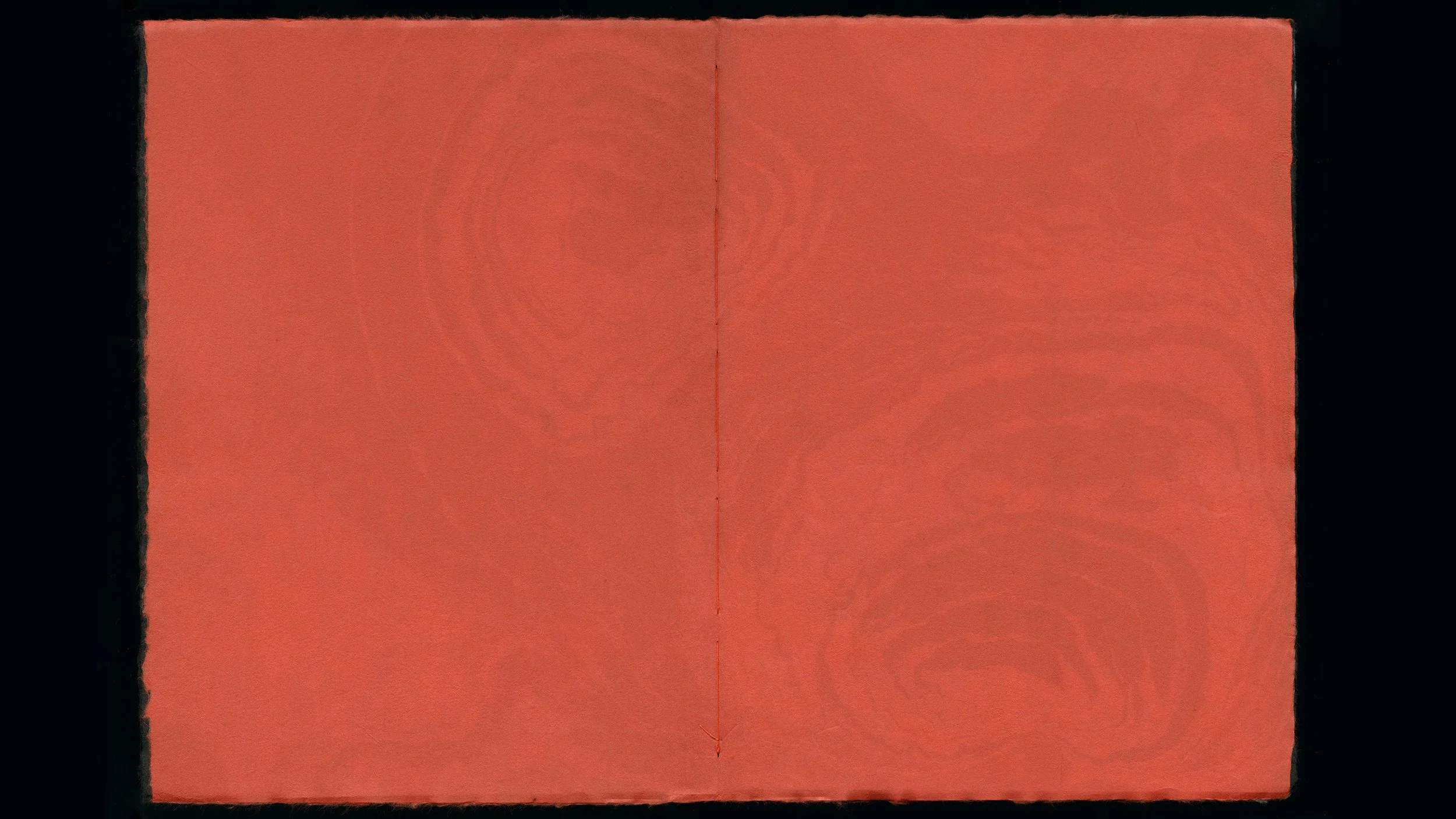 Scan 2.jpg