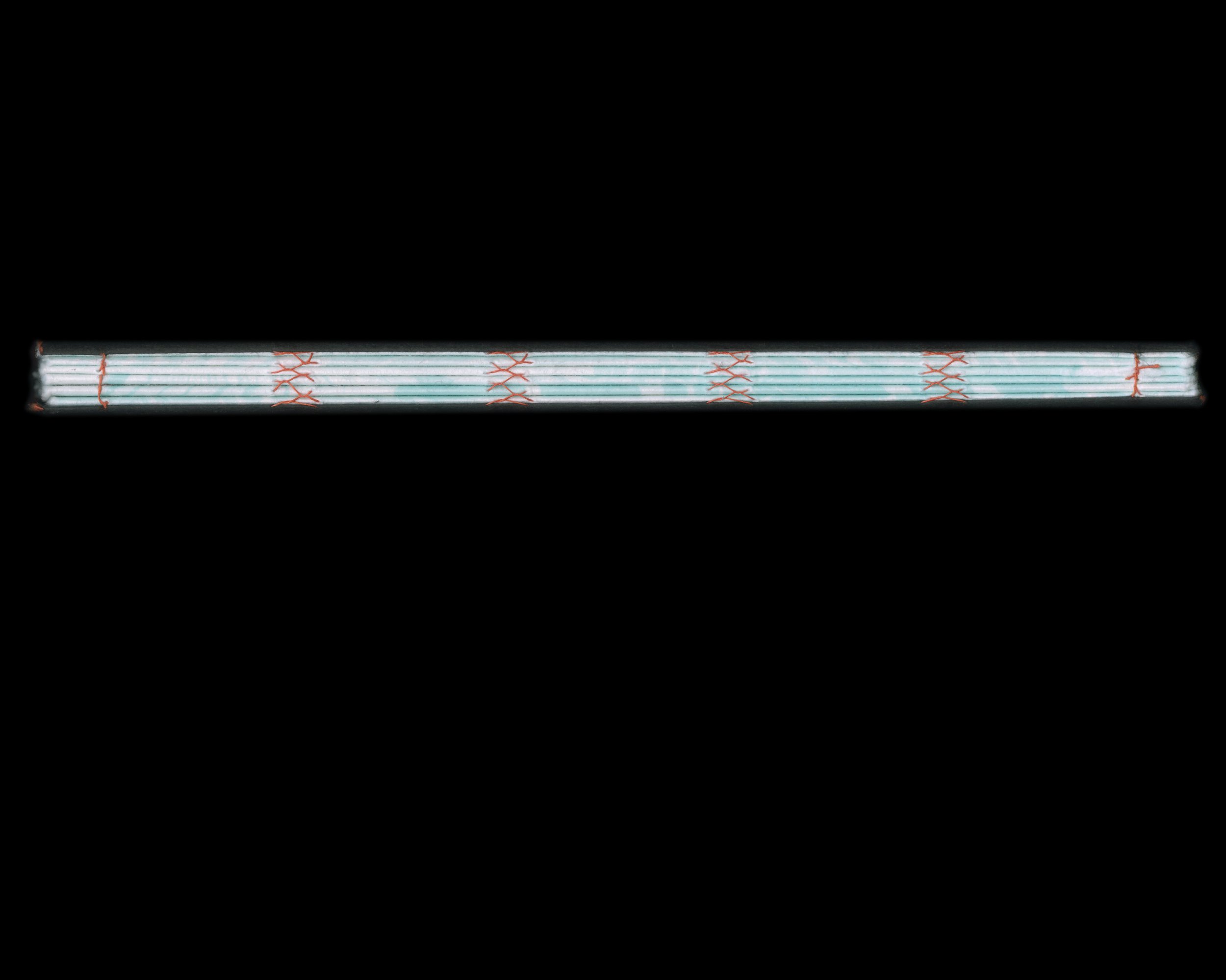 Scan spine .jpg