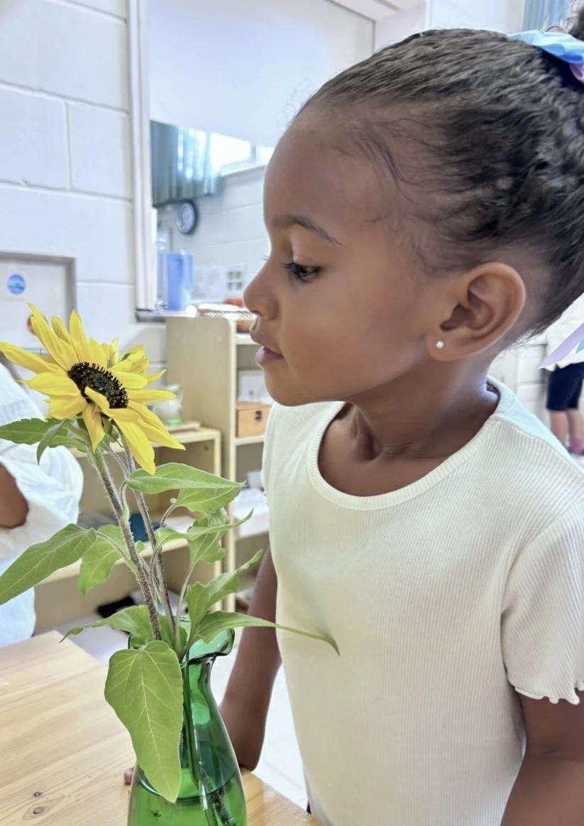 Young girl with a ponytail and earrings looking at a sunflower in a green vase.