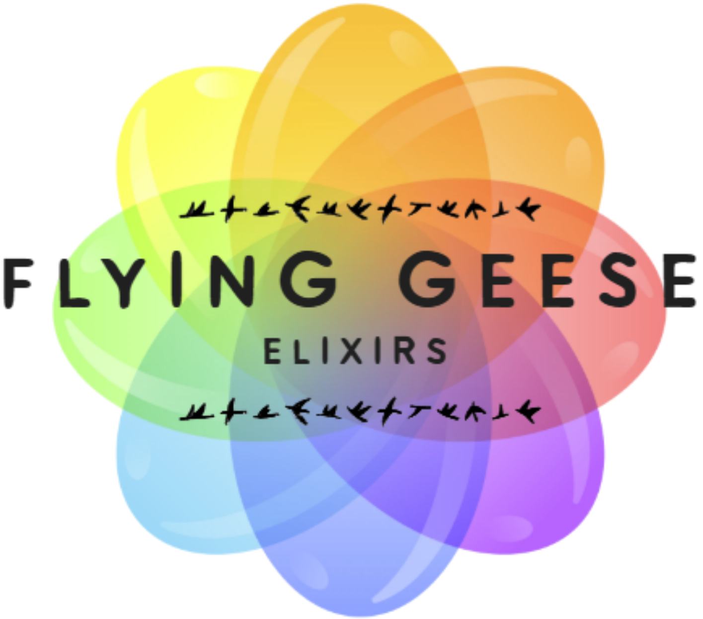 Flying Geese Elixirs