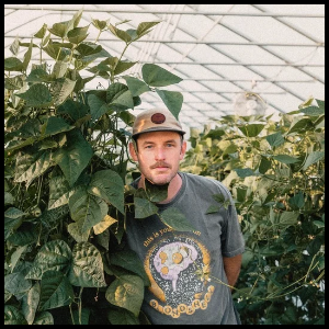 A man with a beard wearing a gray baseball cap and a t-shirt with a graphic design, standing among green plants in a greenhouse.