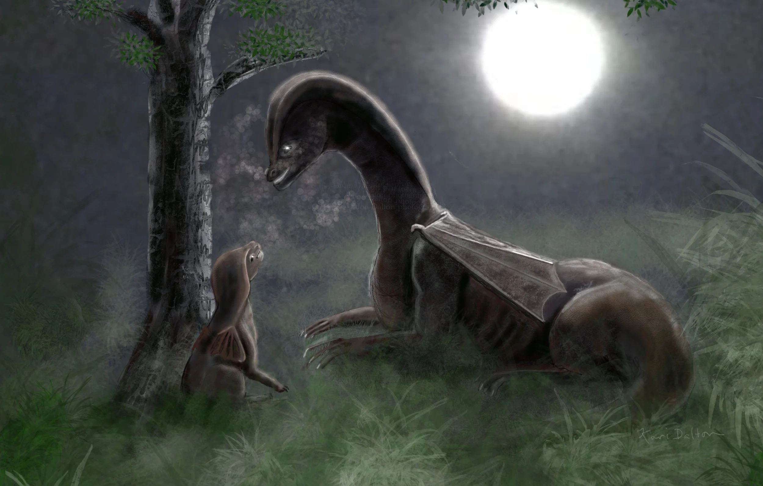 Brothers' Moonlight chat