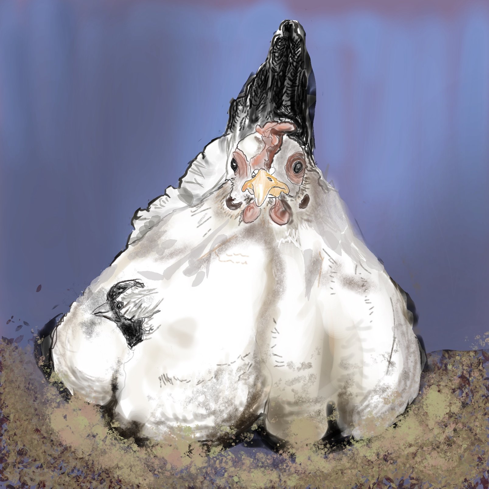 Fluff ad chick (print only)