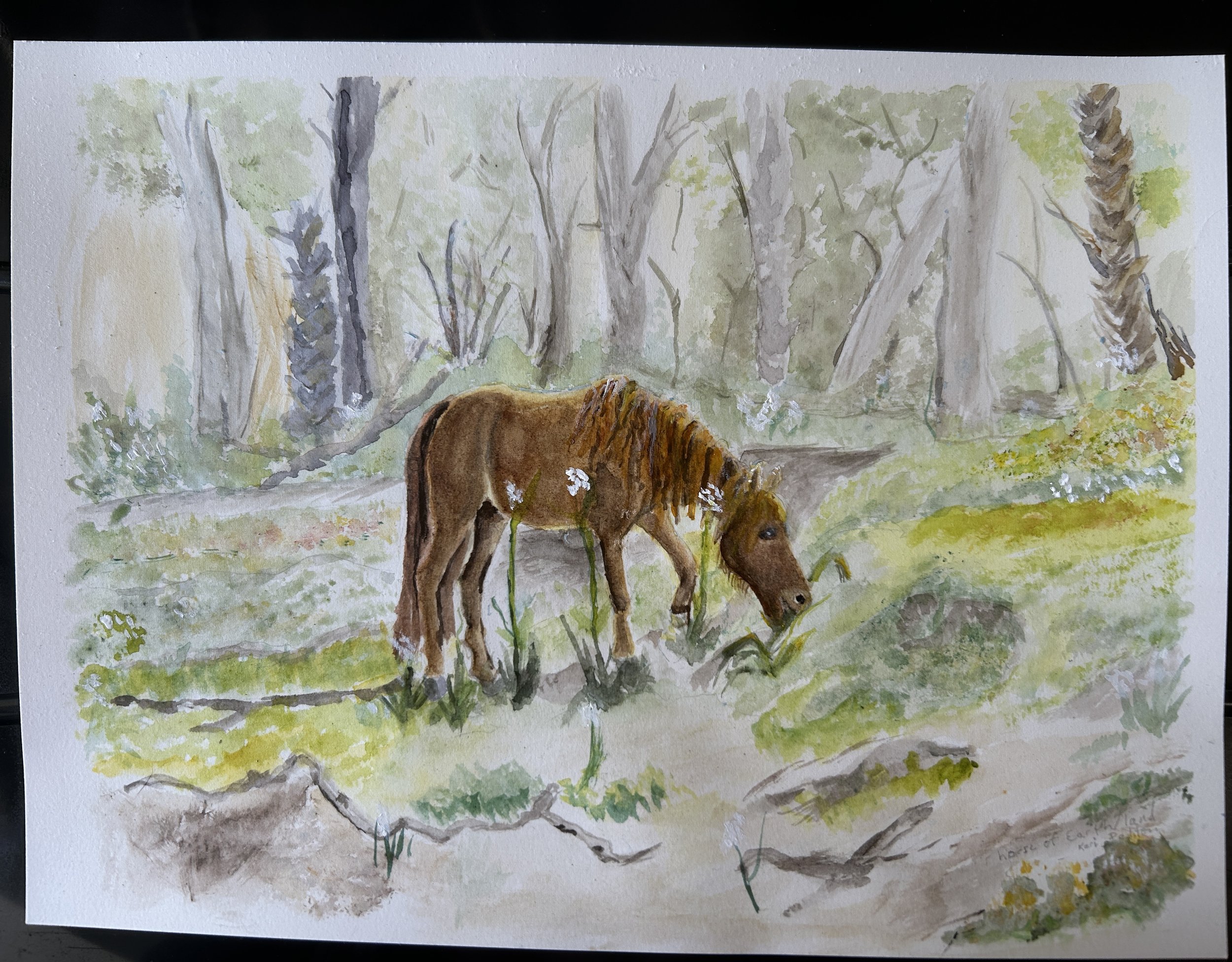 250yrs Americas Year of the horses of the land
