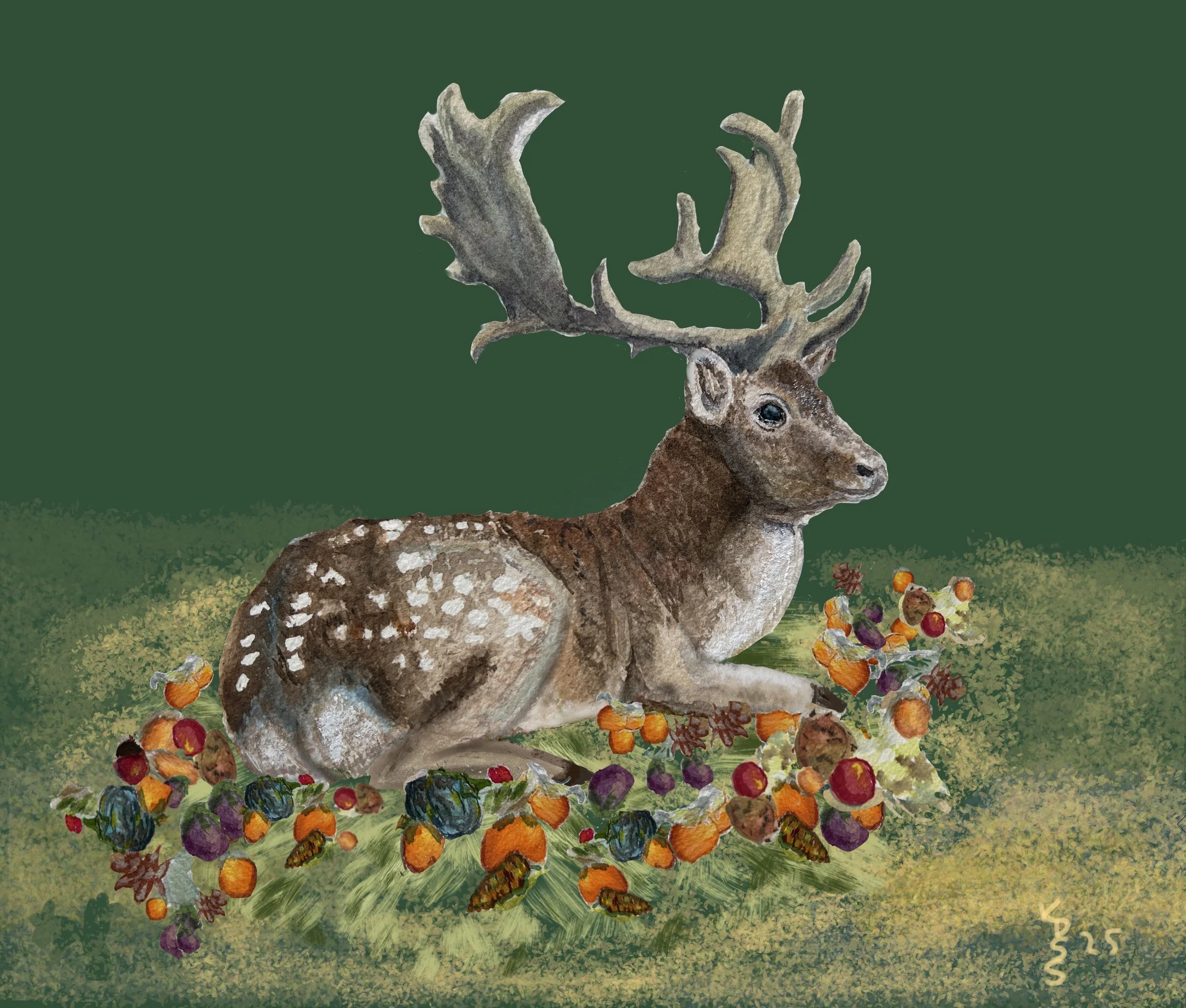 Deer with plenty