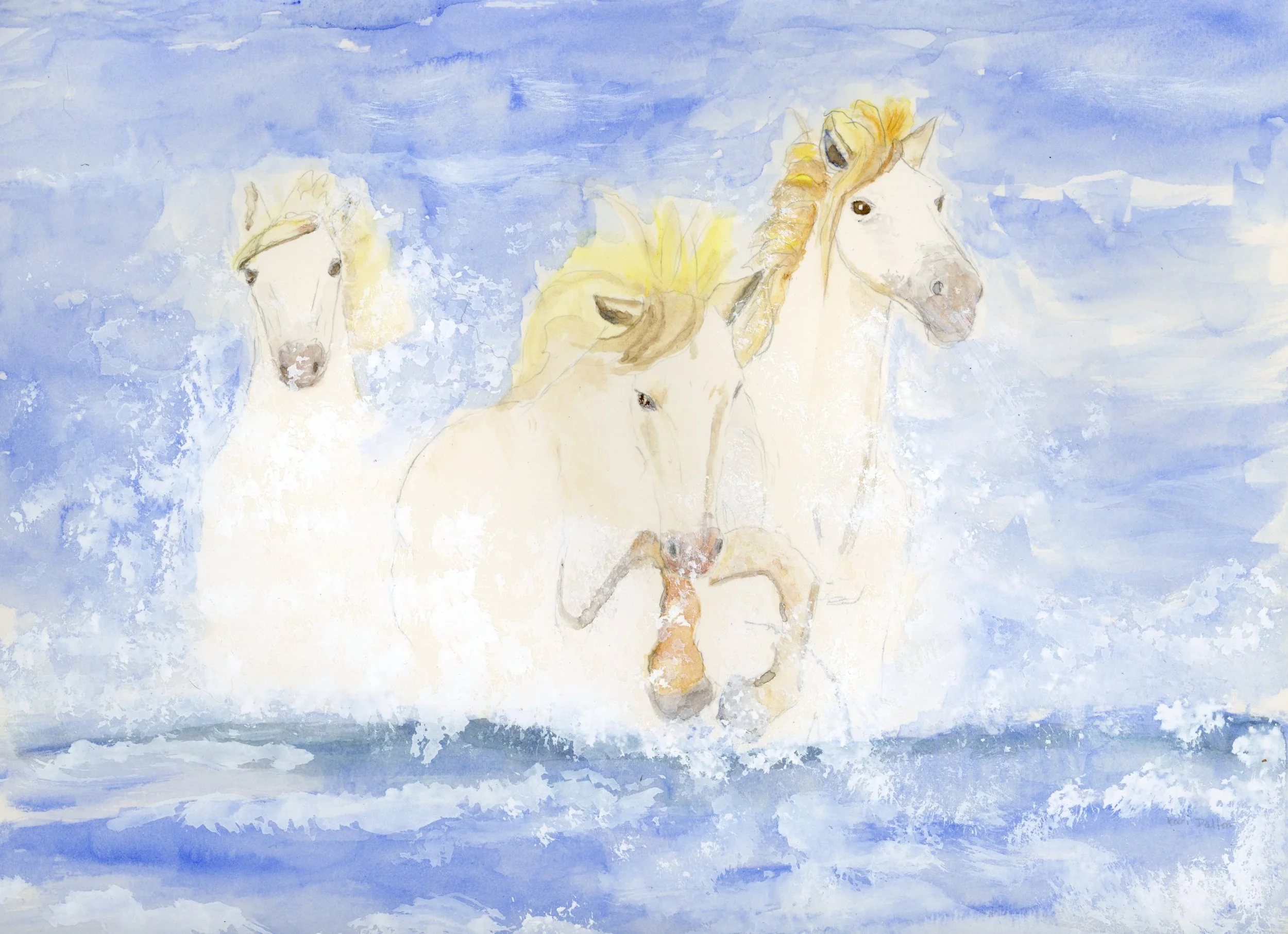 250 USA birthday horses in water