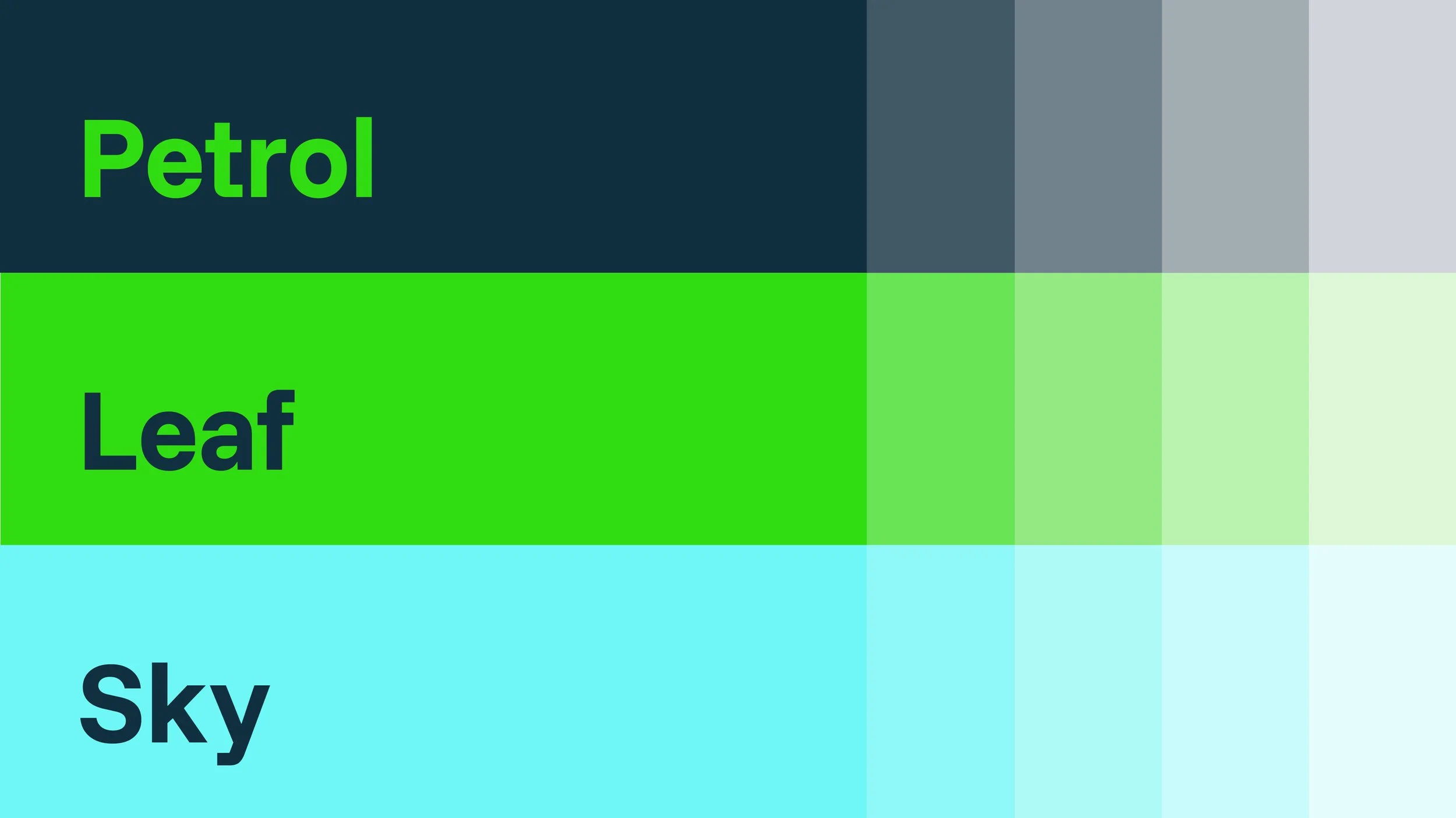 Grafik mit horizontalen Farbbalken, die von oben nach unten in dunkles Blau, helle Grün, helles Blau unterteilt sind. Die oberen zwei Drittel enthalten die Wörter 'Petrol', 'Leaf' und die untere Zeile das Wort 'Sky'.