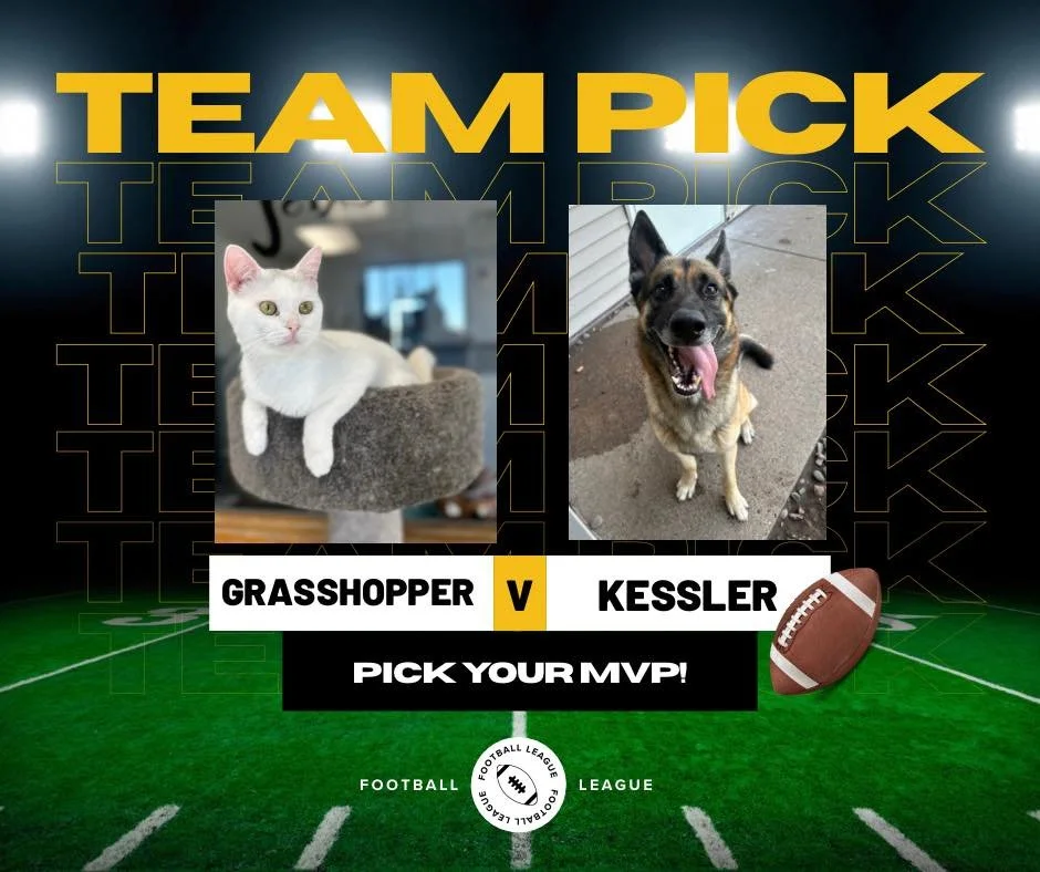 🏈 It&rsquo;s Game Day at Chippewa Humane! 🏈

Every Sunday during football season we&rsquo;ll be running our own &ldquo;Pet Playoffs.&rdquo; Each week you&rsquo;ll meet one or two of our adoptable MVPs (Most Valuable Pets) 🐾 &mdash; complete with t