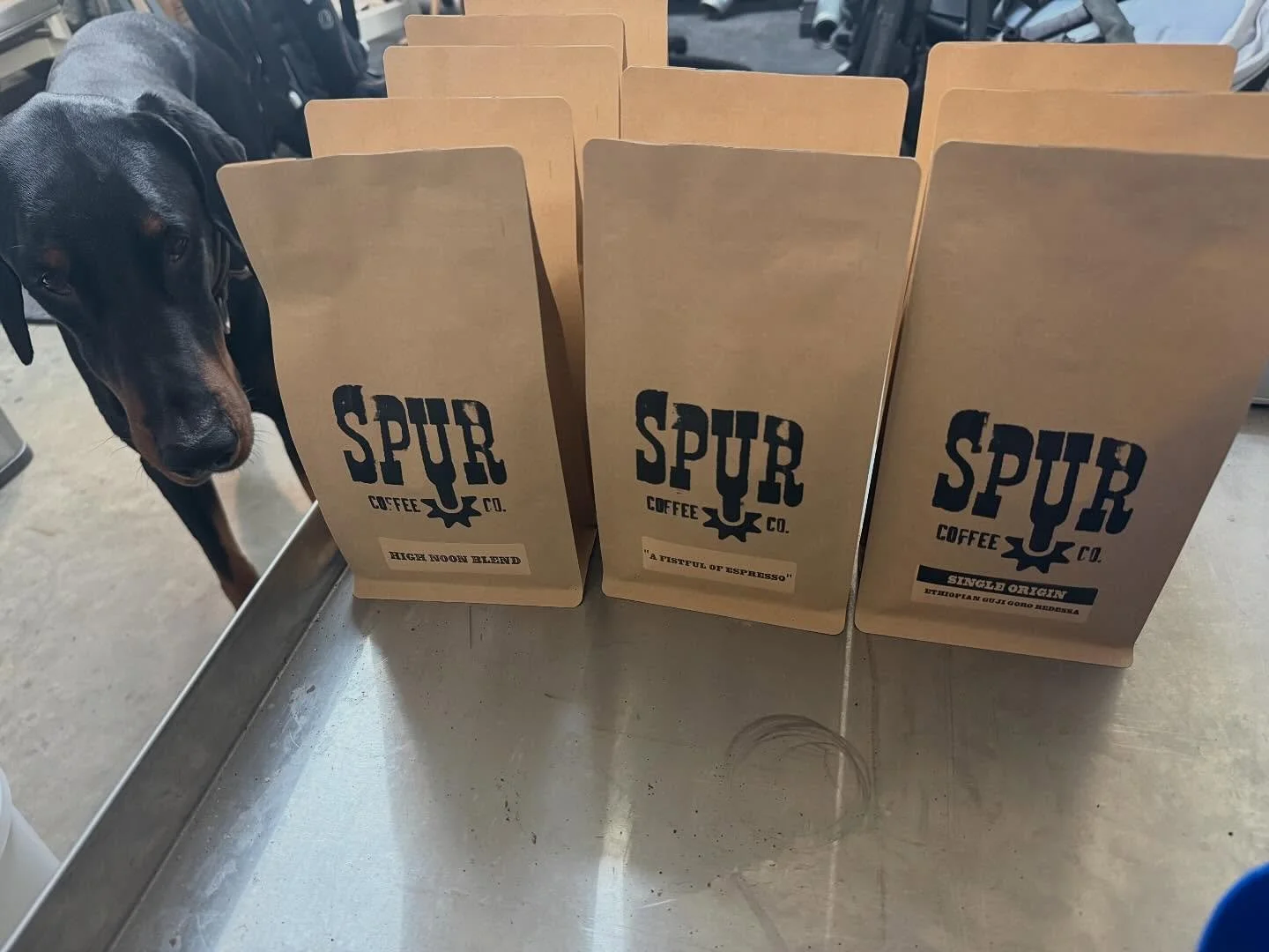 Maverick is here inspecting the new orders going out today. They&rsquo;d better be right or else he&rsquo;ll snuggle me to death.