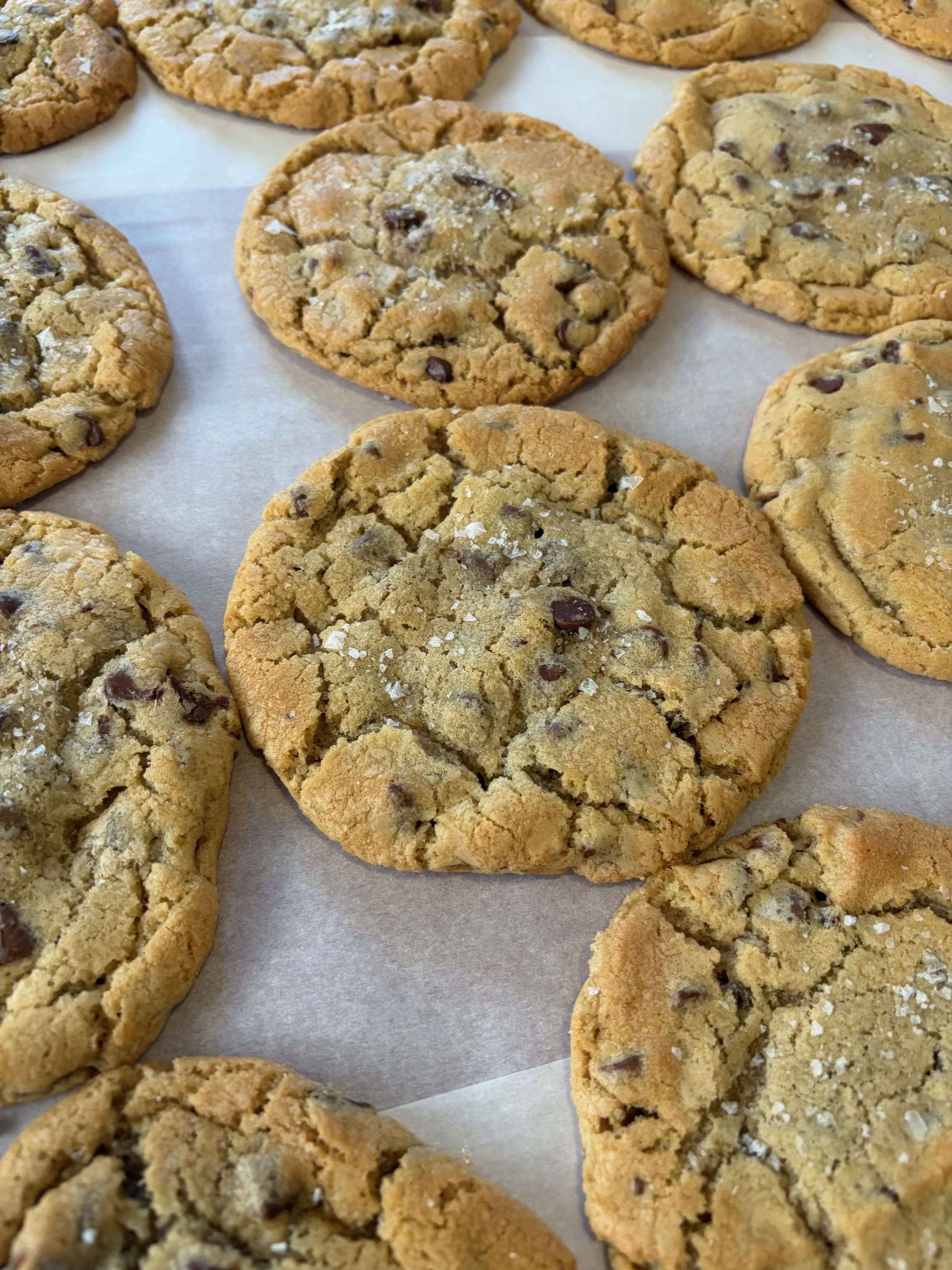 classic chocolate chip.jpeg