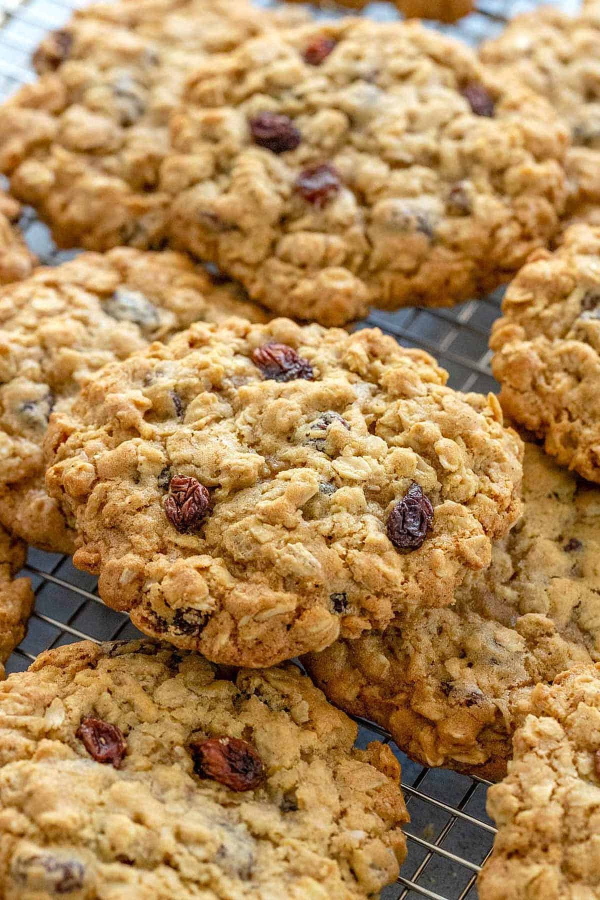 oatmeal-raisin-cookie.jpg