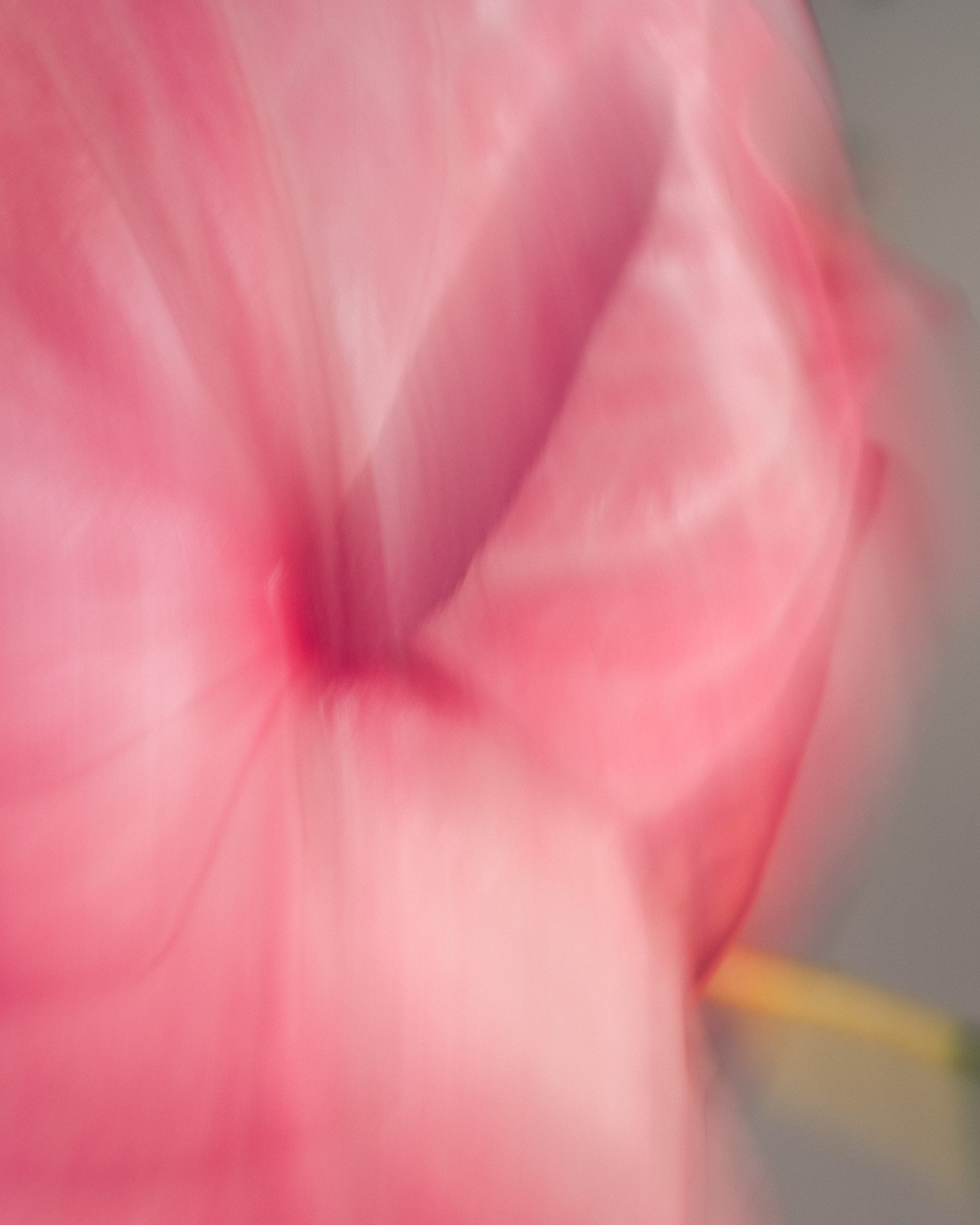 DSCF7816.jpg
