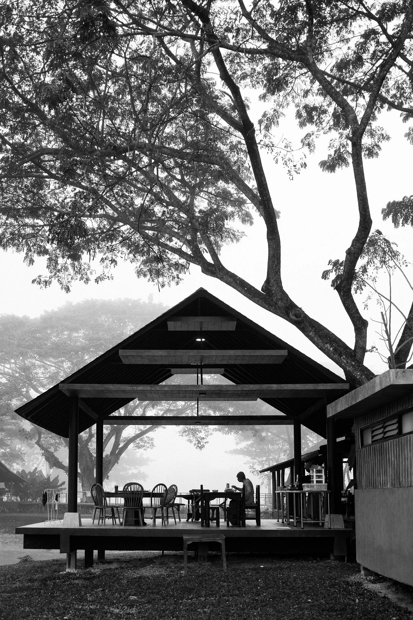 A black and white photo of a person sitting at a table on an open-air pavilion under tall trees with fog in the background.