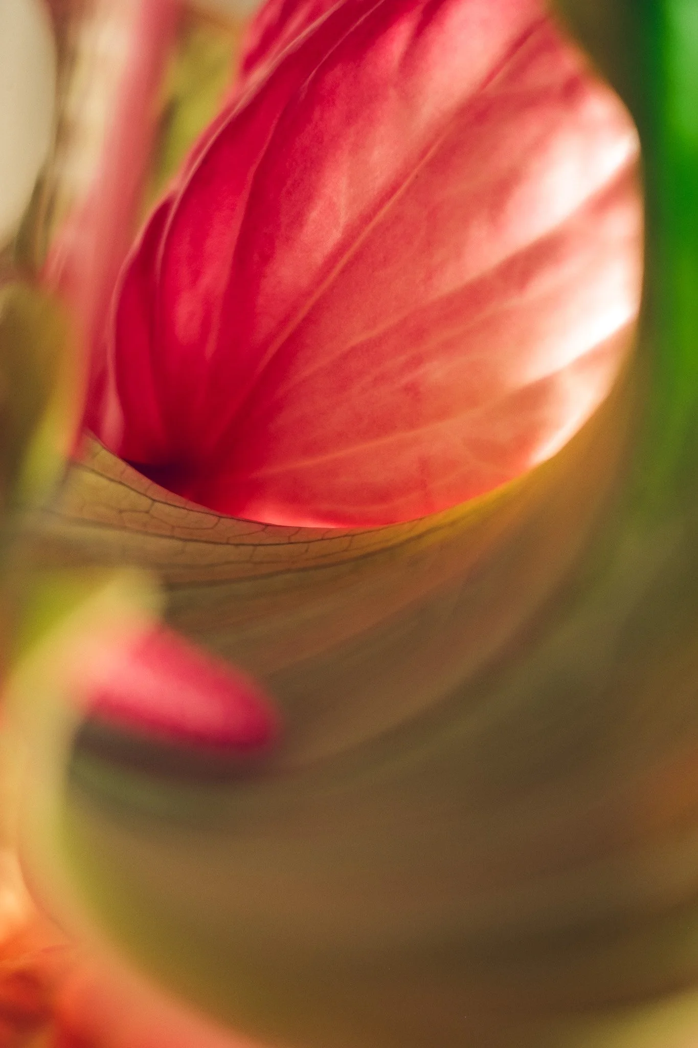 DSCF7761.jpg