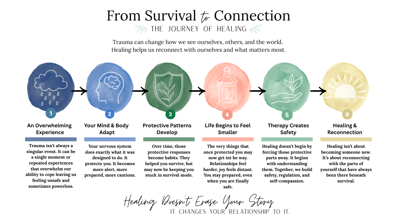 Infographic titled "From Survival to Connection: The Journey of Healing" with six watercolor-style icons and text explaining each stage, from overwhelming experience to healing and reconnection, illustrating trauma recovery process.