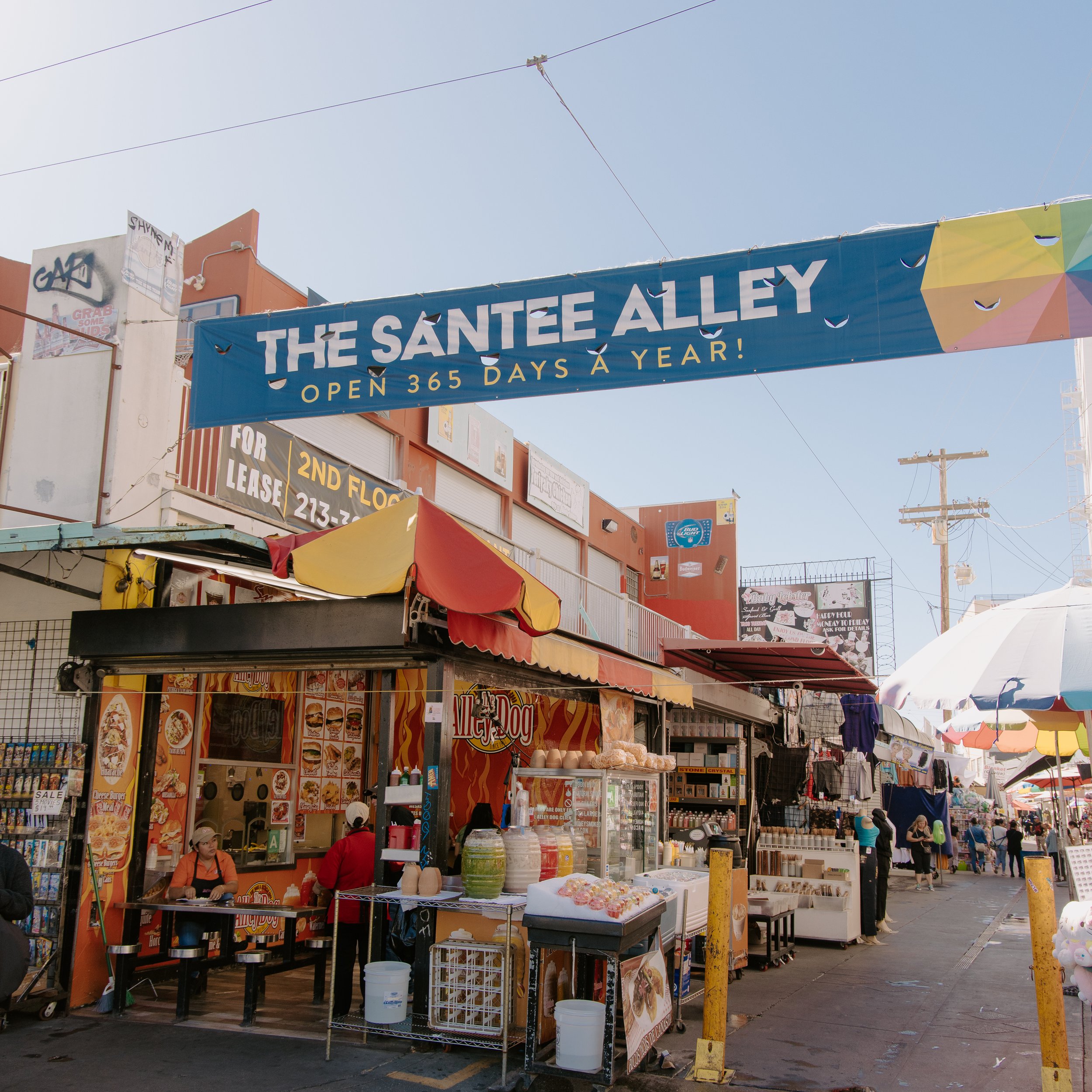 Santee Alley Los Angeles Fashion District