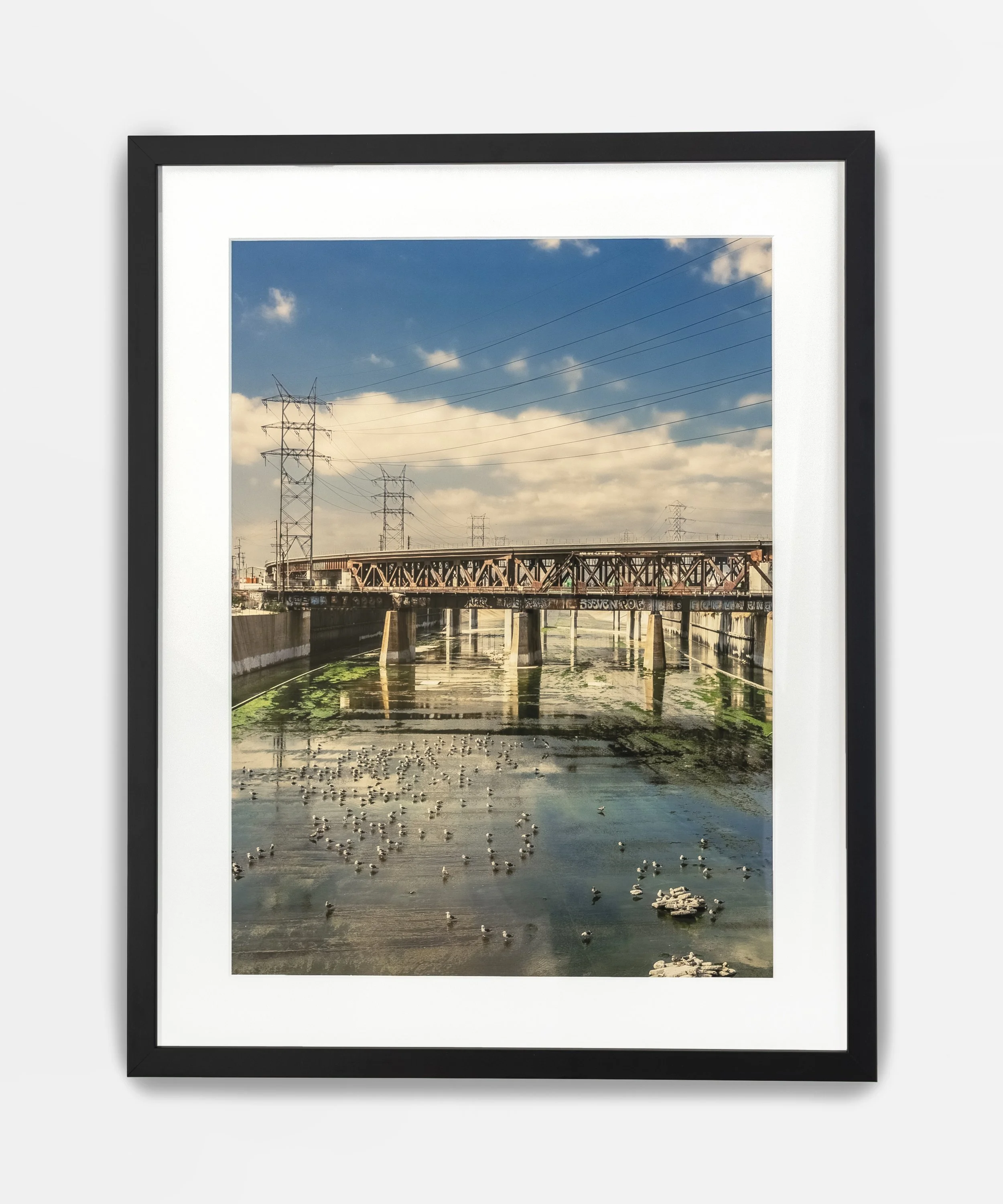 A framed photograph of a city scene with power lines, a bridge, and a body of water with floating ducks under a partly cloudy sky.