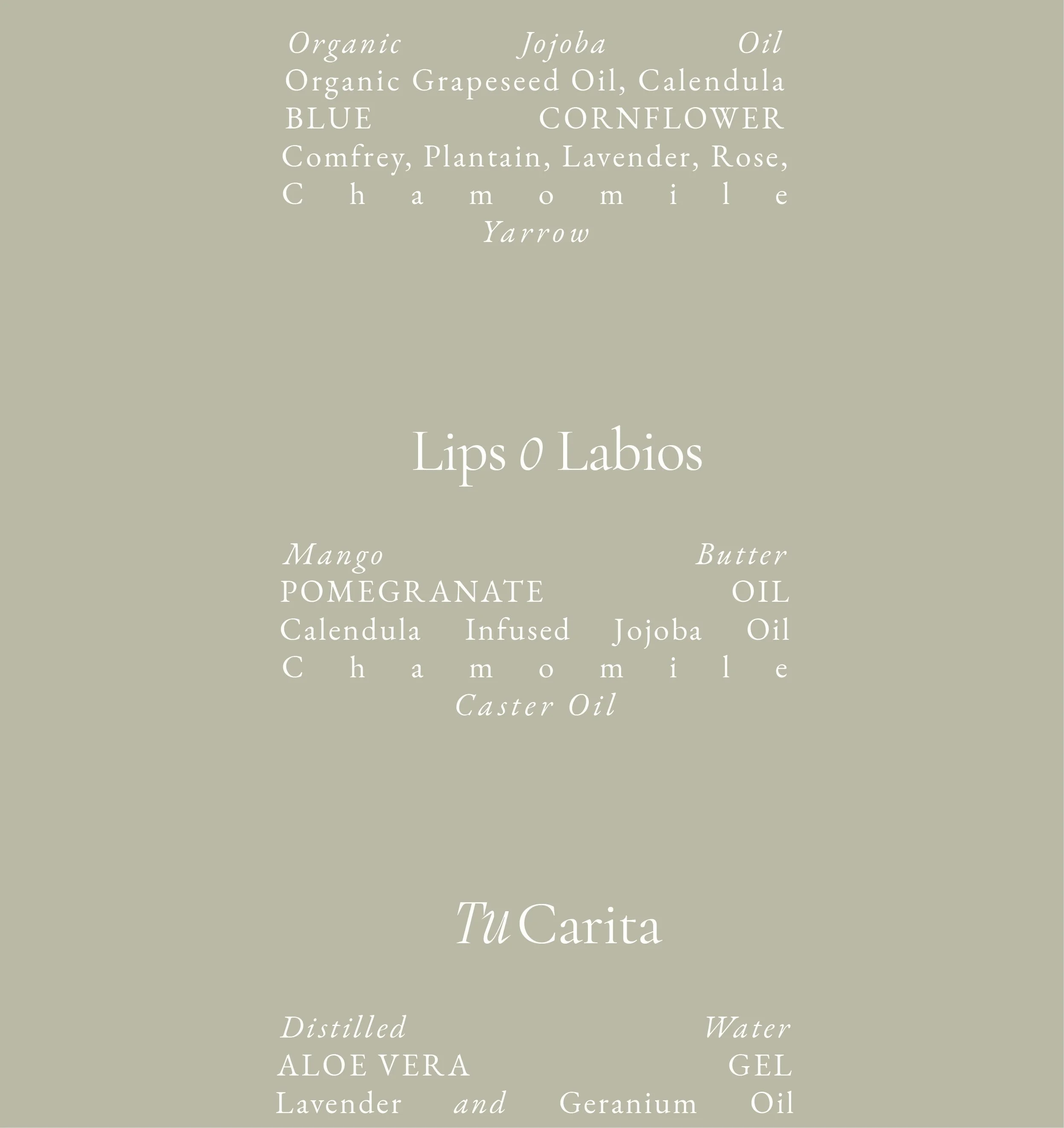 Brand identity for ethical skincare brand.