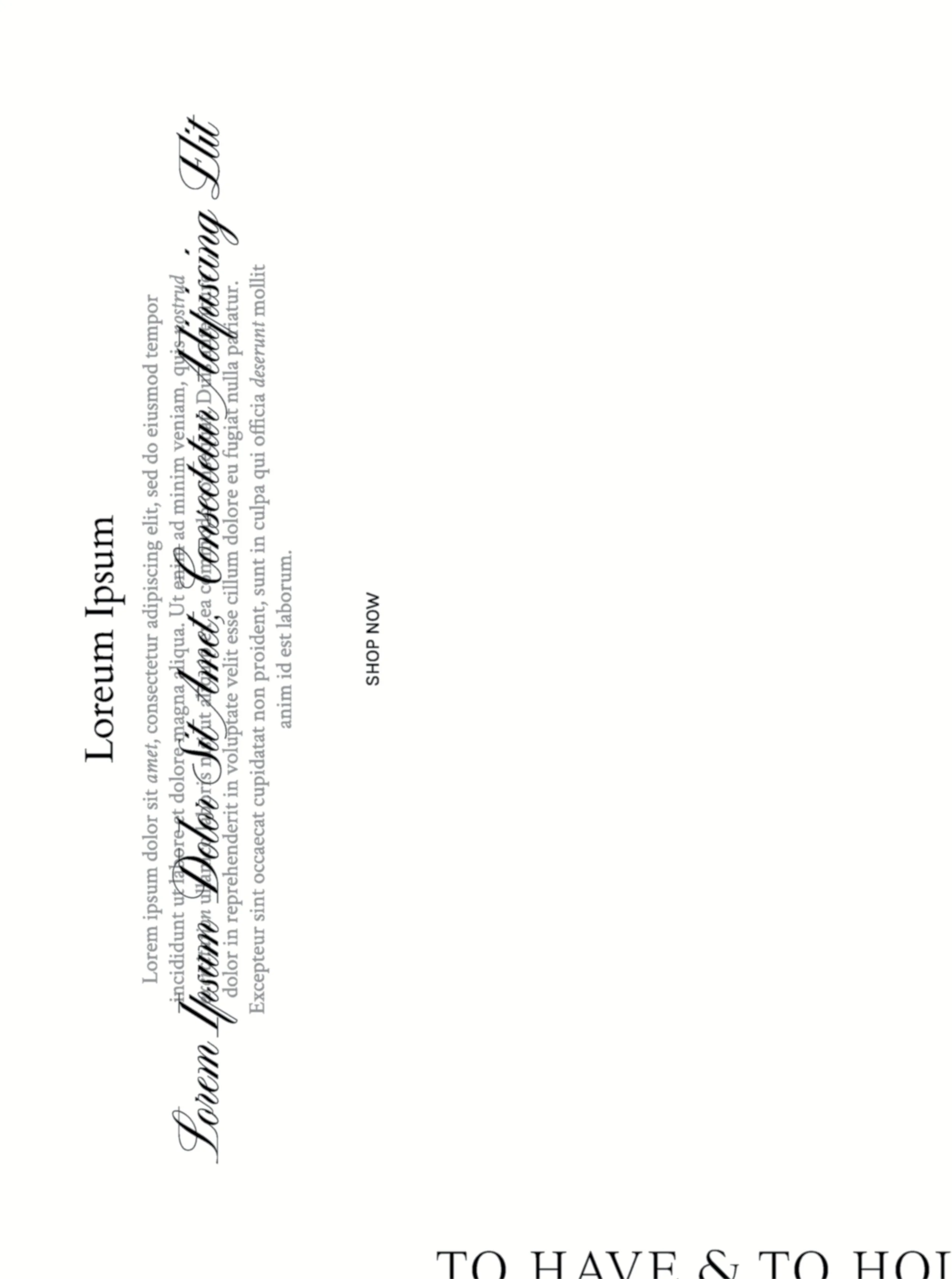 Brand identity for bridal accessories brand.