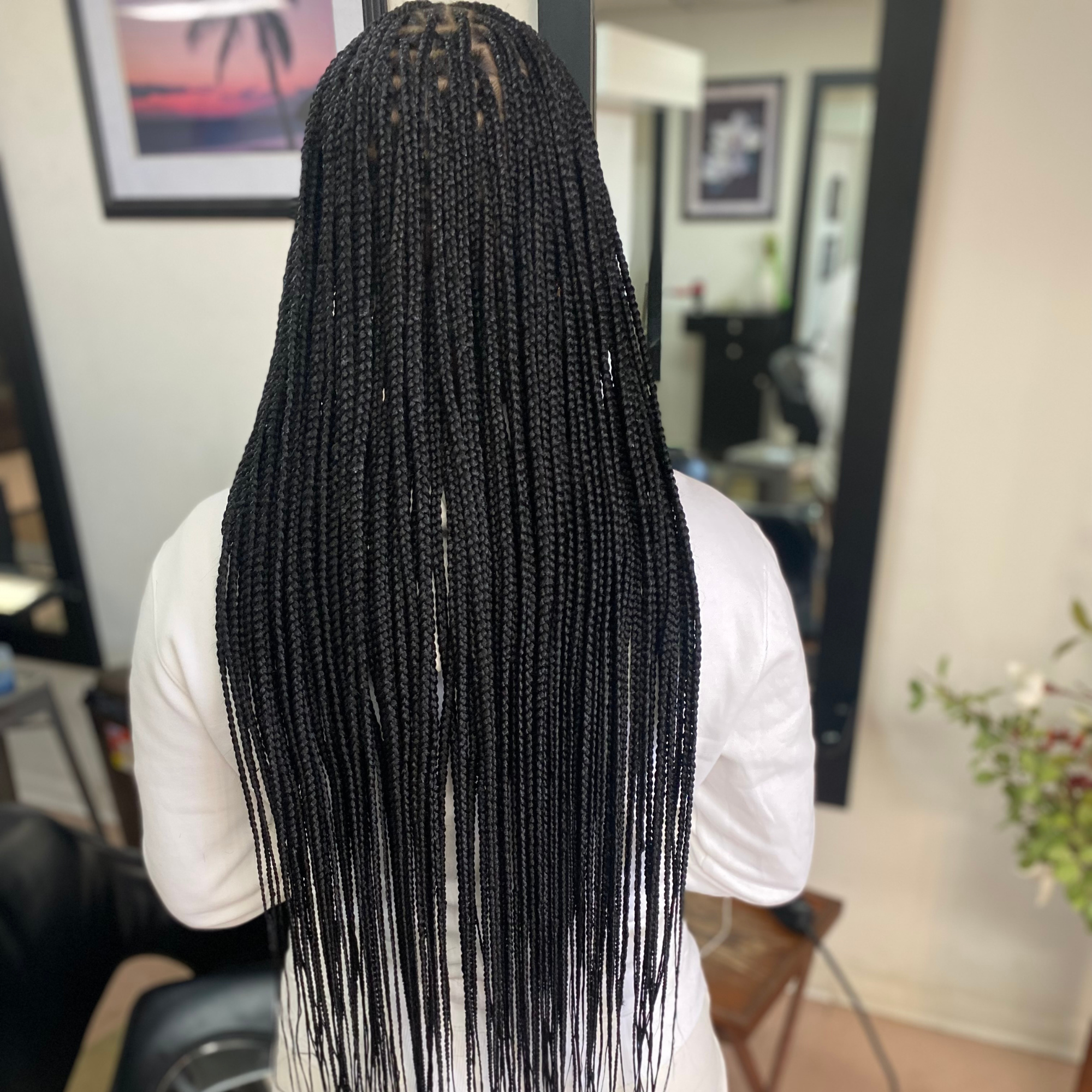 Diane 7 2000x2000.png