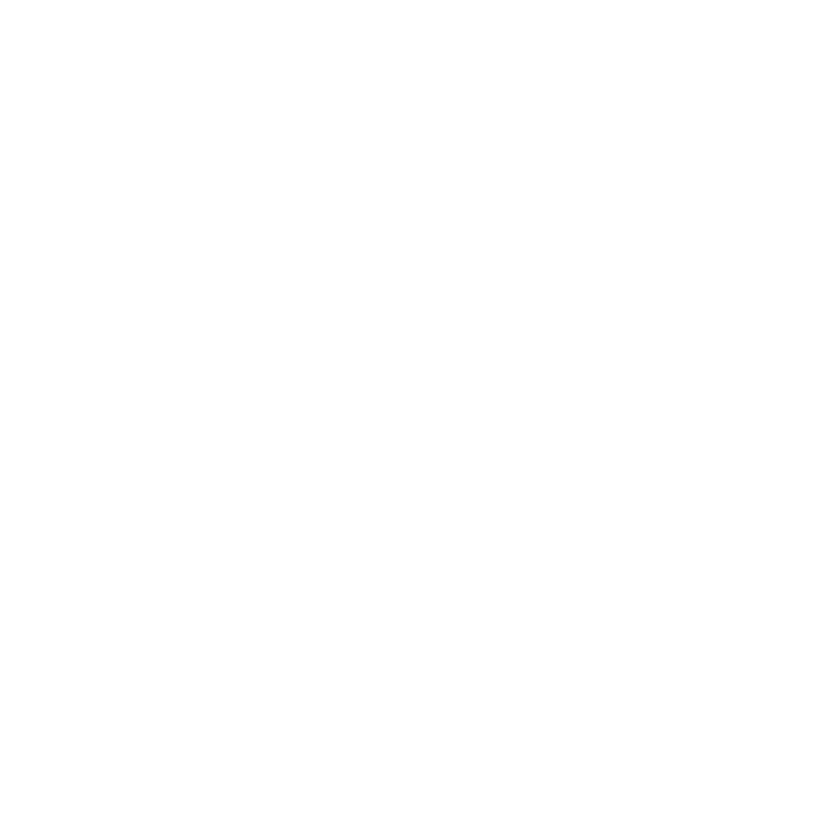 moleskine.png