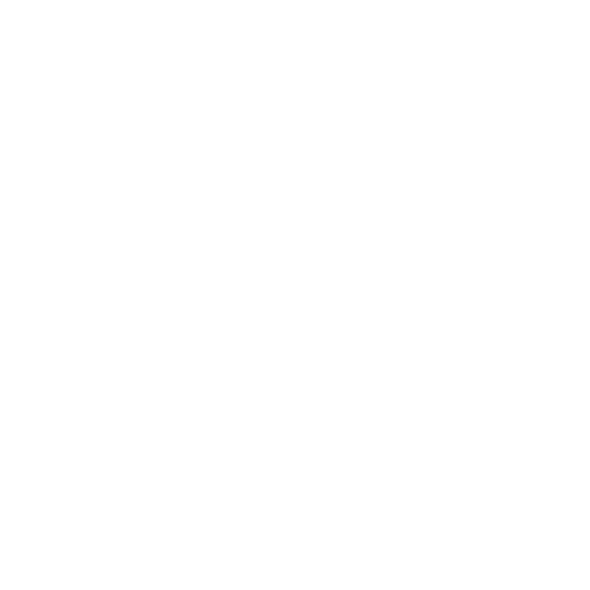 the north face.png
