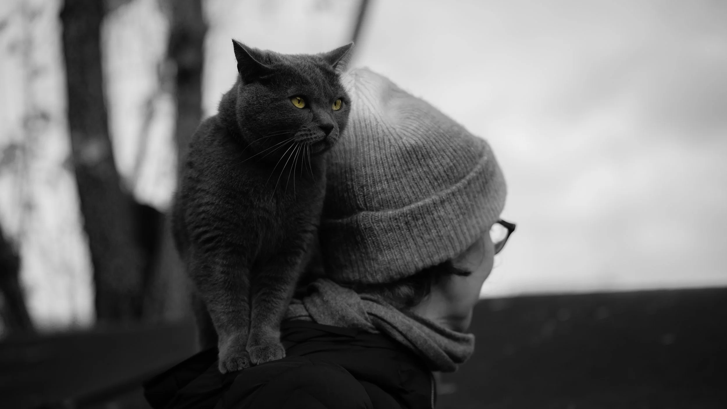 A person wearing a knit beanie hat and glasses, facing to the right, with a black cat perched on their shoulder. The background is blurred and appears to include some trees, all in black and white.