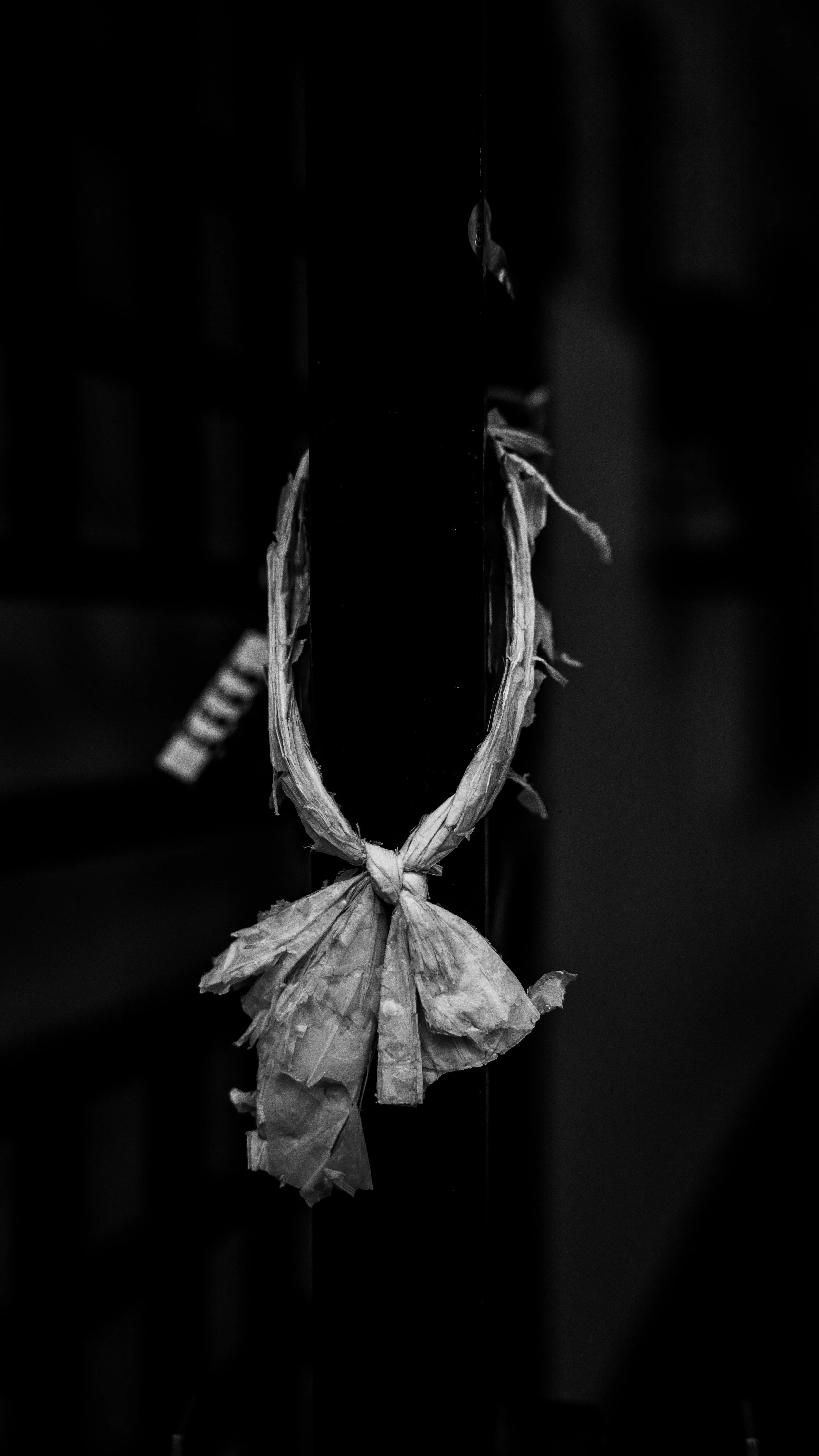 A moth tied with a paper string hanging from a thin wire in a dark setting.