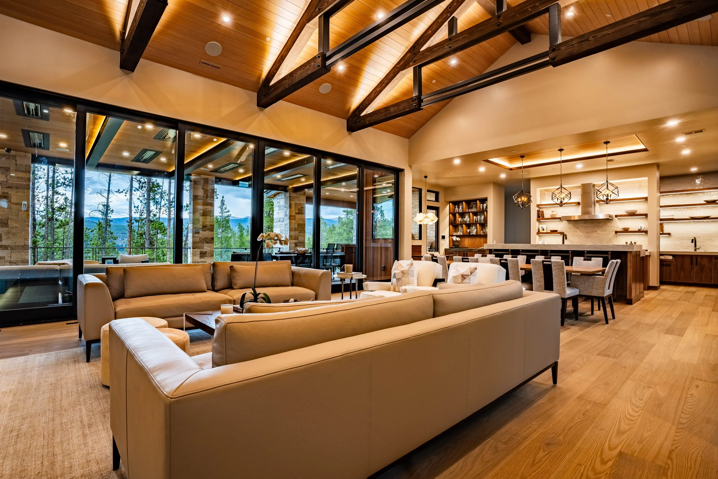 inside living room3.jpg