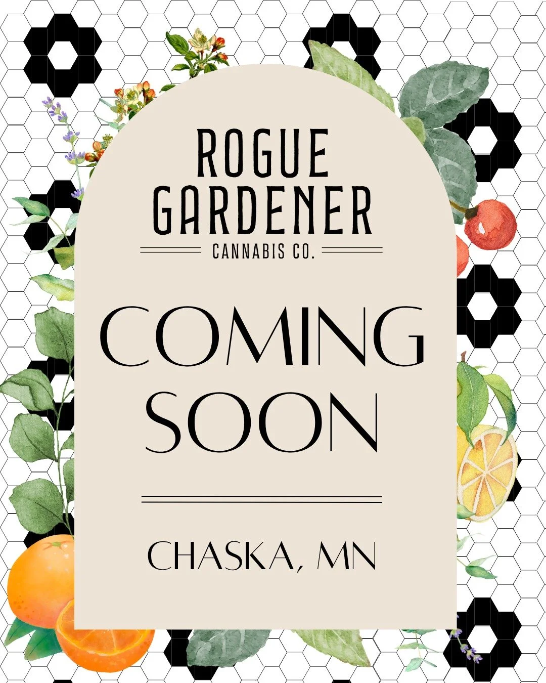 Rogue Gardener is coming soon to Chaska, MN! 🌿This isn't your average plant shop 😉 Check back soon for updates and more info! 

#cannabis #herbs #grass #plantlife #plantmom #minnesota #comingsoon