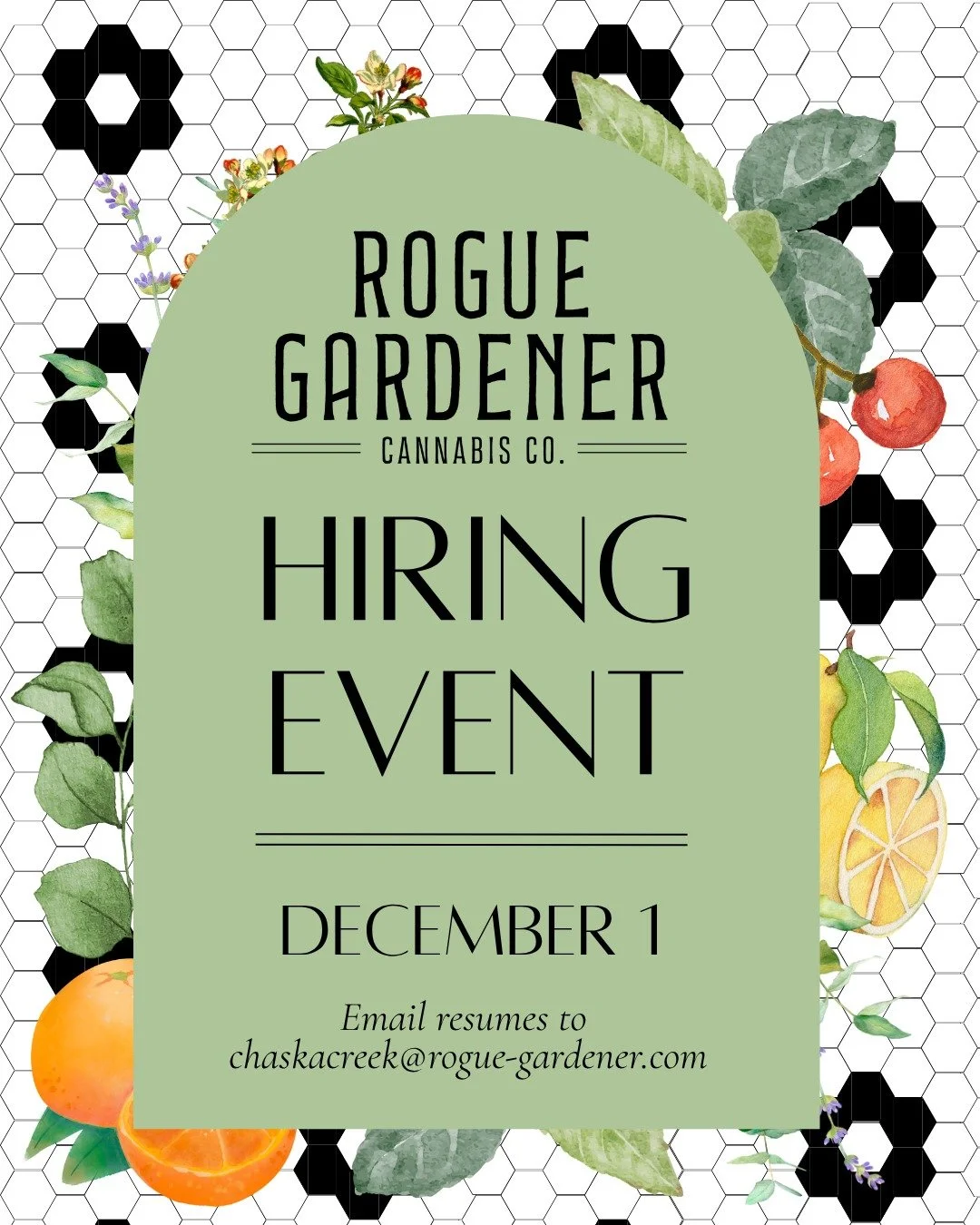 Looking for an opportunity to grow? 🌿Rogue Gardener is holding walk-in interviews on December 1!
🕐 12&ndash;4 PM 
📍 722 N Chestnut St, Chaska, MN

Open roles:
🌿 Manager
🌿 Inventory
🌿 Budtender

Email your resume to: chaskacreek@rogue-gardener.c