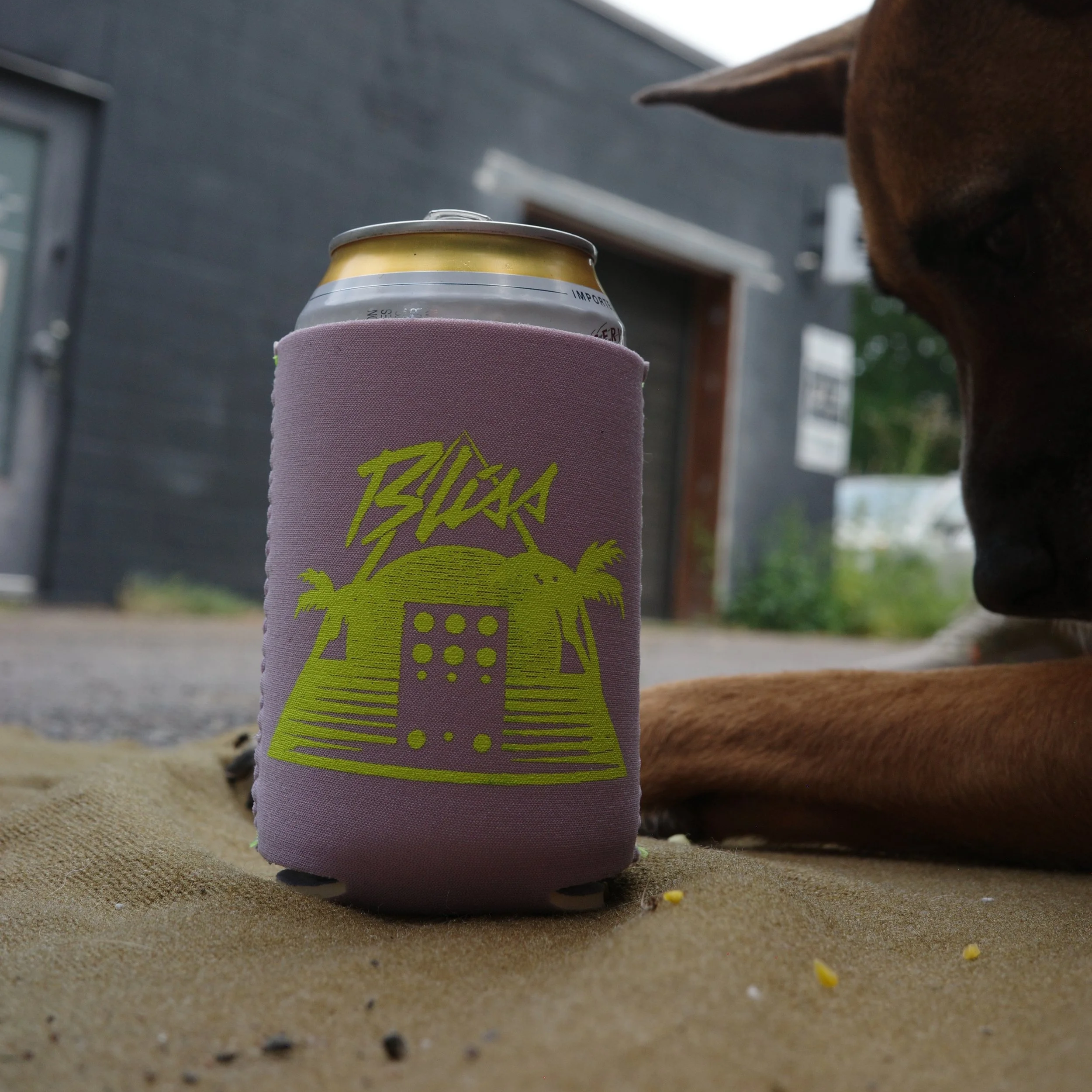 Koozie_Summer_Chase+Bliss.png