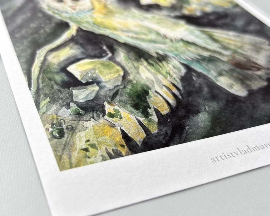 Lux Alata in Tenebris Vedere Generala Textura Print.jpg