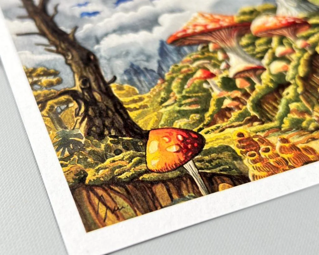 Padurea de Ciuperci  Vedere Generala Textura Print.jpg