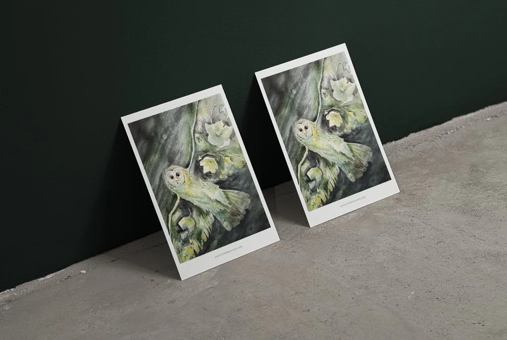 Lux Alata in Tenebris Prezentare.jpg