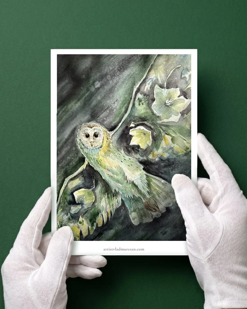 Lux Alata in Tenebris Vedere Generala Print.jpg