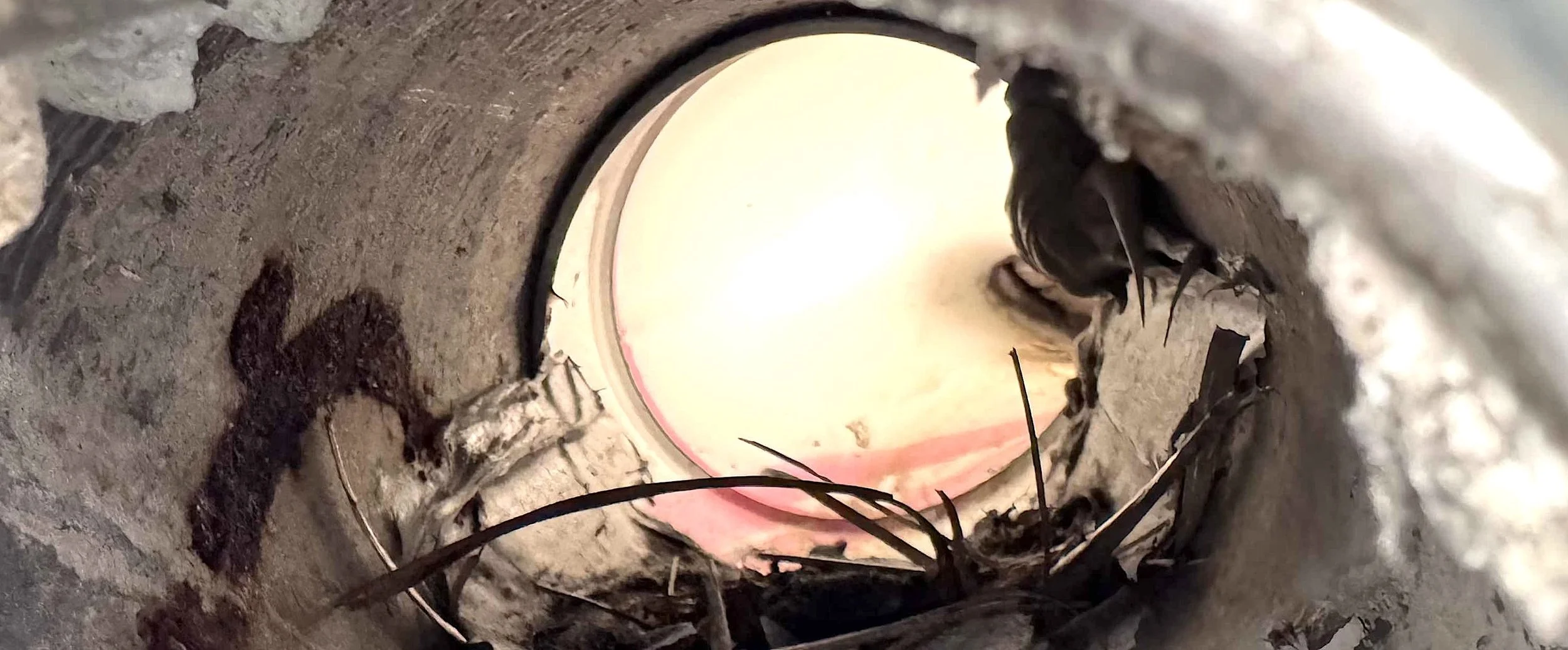 cdars-services-borescope-hd-camera-investigation-pvc-pipework-stormwater-balcony-drainage-failed-waterproofing-non-destructive-testing-ndt