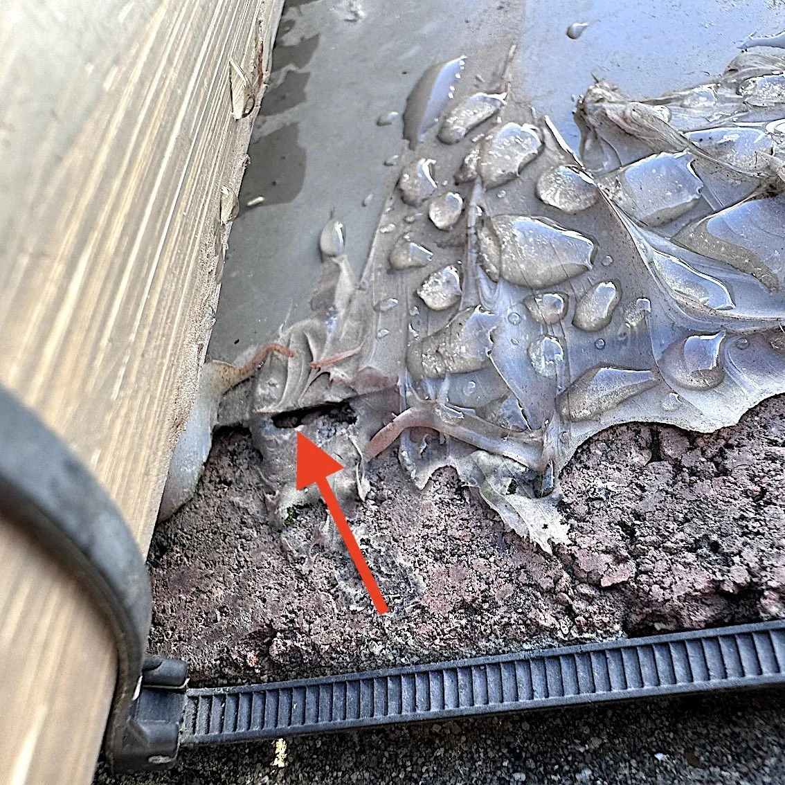 Site F - Potential entry point under capping