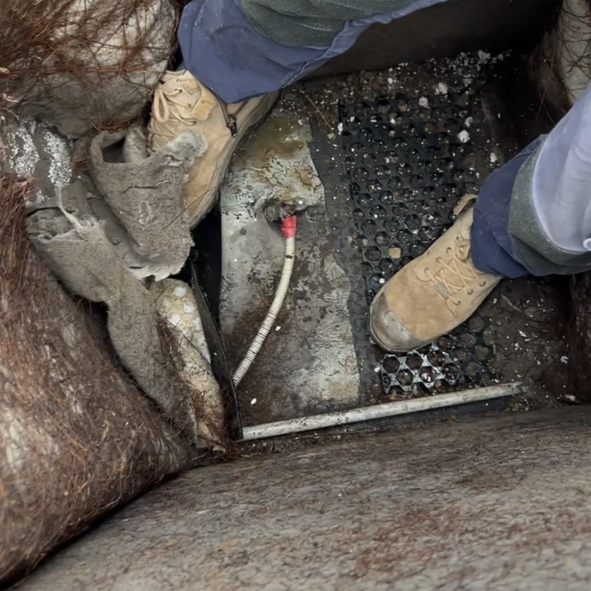 Site E - Excavation reveals an unsealed conduit