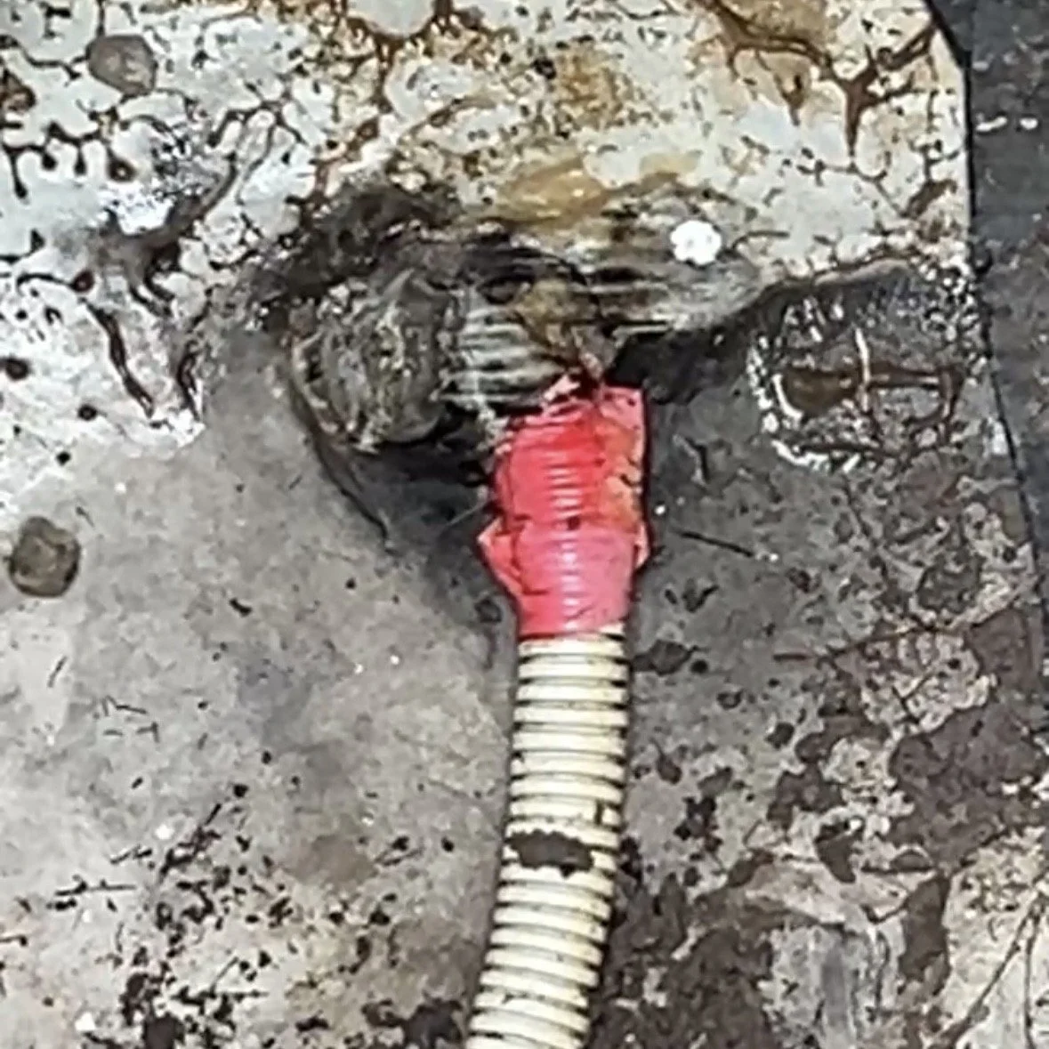 Site E - Close up of unsealed penetration