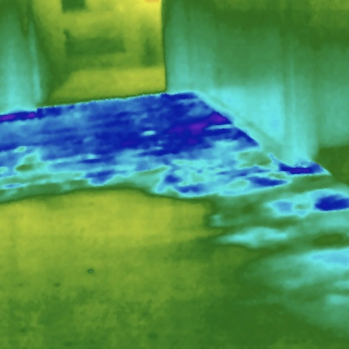 cdars-services-condition-monitoring-infrared-thermal-image-internal-floor-moisture-affected-water-ingress-non-destructive-testing-ndt