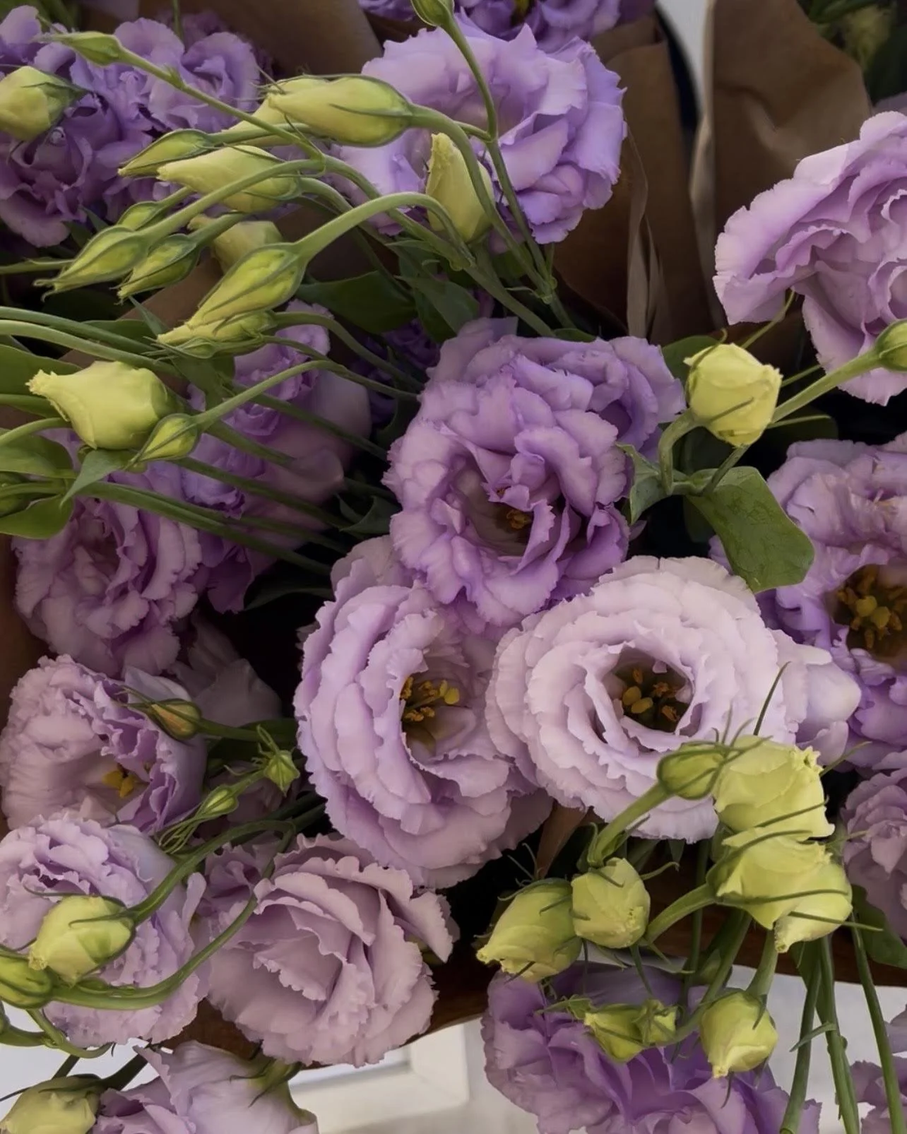 Lisianthus - Lilac Bouquet - Local Delivery 7/12