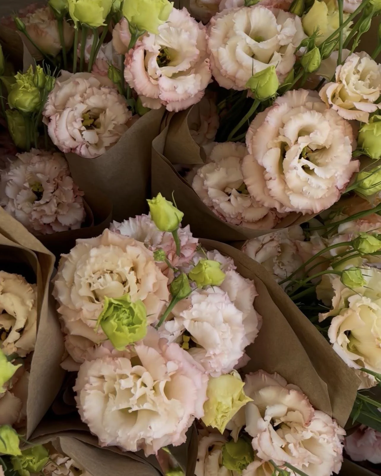 Lisianthus - Peach Bouquet - Local Delivery 7/12
