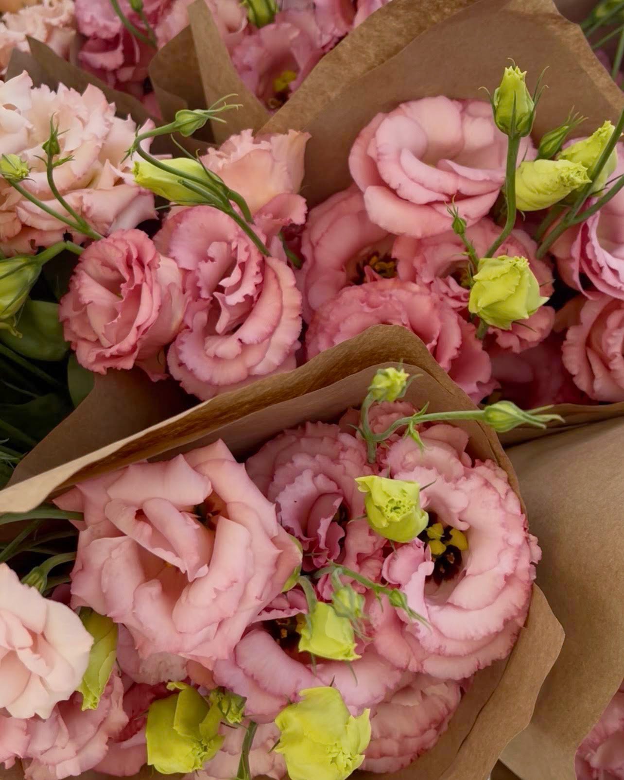 Lisianthus - Salmon Bouquet - Local Delivery 7/12