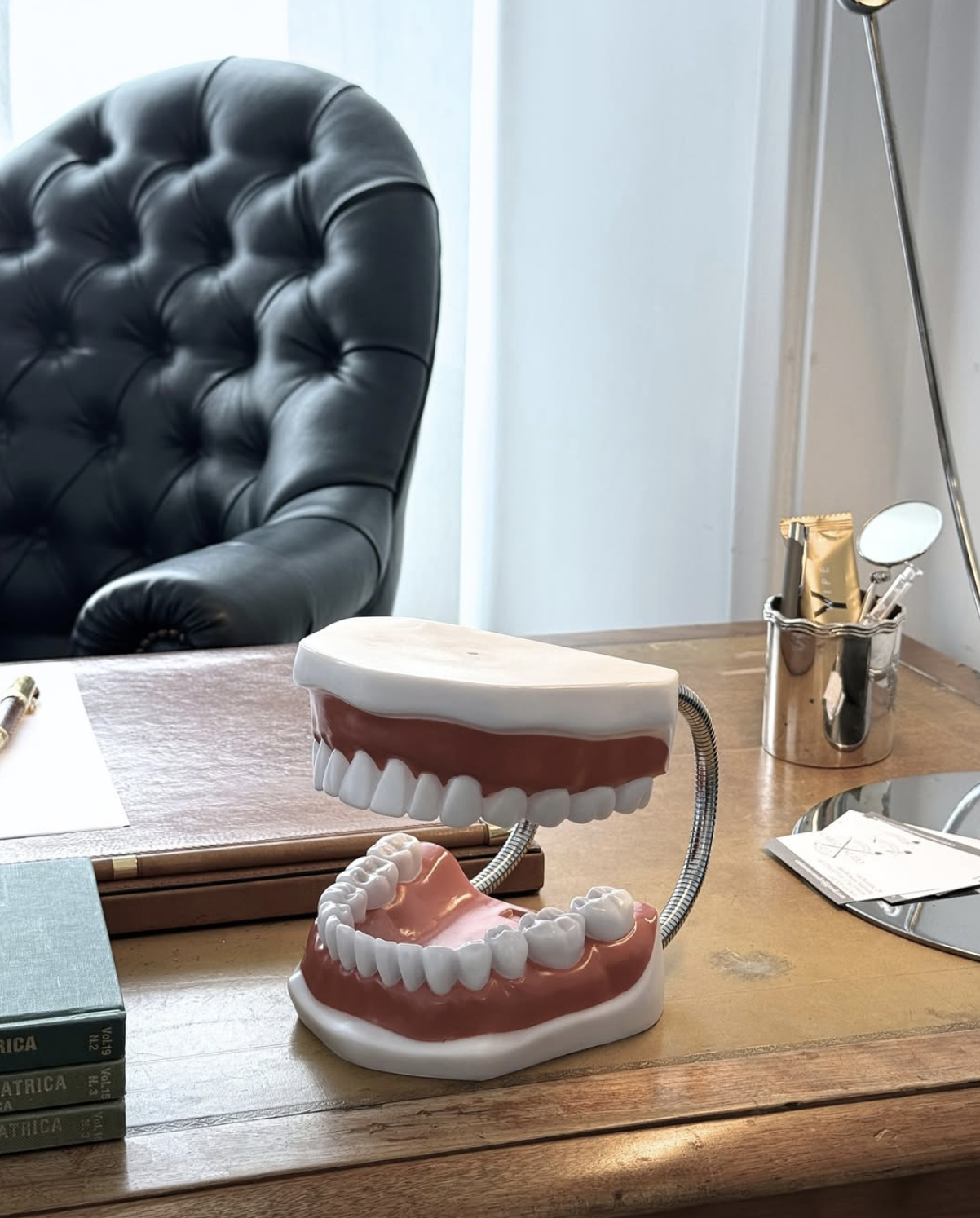 Modello didattico di dentiera su scrivania, con una sedia in pelle nera e alcuni oggetti come libri, penna e cosmetici sul tavolo.