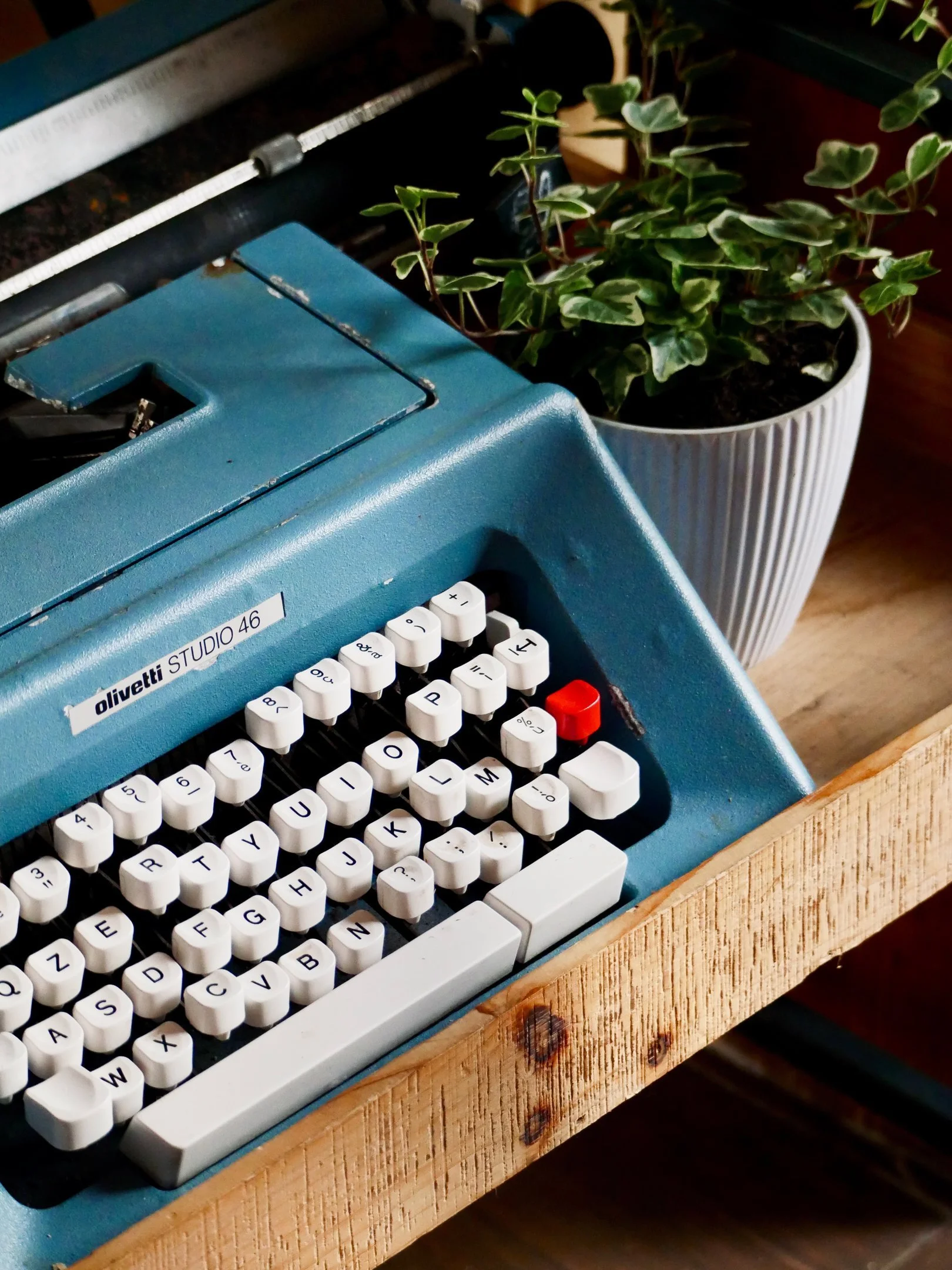 Una macchina da scrivere Olivetti Studio 46 di colore blu, con tasti bianchi e uno rosso, posizionata su un tavolo di legno accanto a una pianta in vaso bianco.