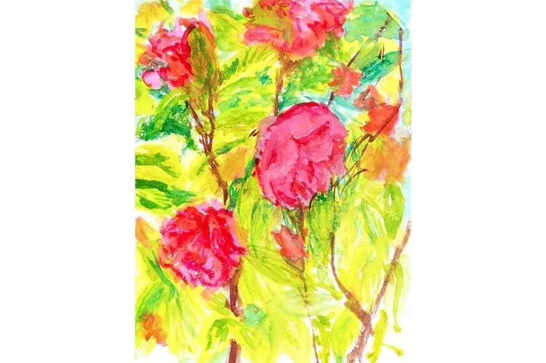 Hand-painted pink camellia watercolour illustration created by Paris-based illustrator Clare Jones using Gansai Tambi Japanese watercolours.