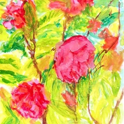 Camellias