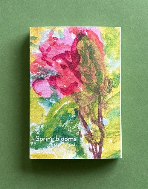 Watercolour illustrations of a Spring flowers in Clyne Botanical gardens Swansea and of worm's head on Rhossili bay the Gower. Camellias, gorse bushes, Rhododendrons, bluebells