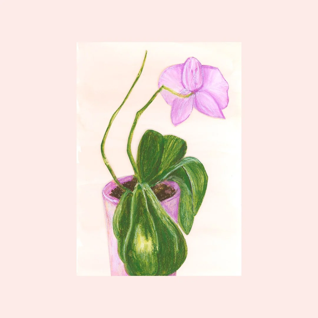 orchid_floral_art_print_shop.jpg